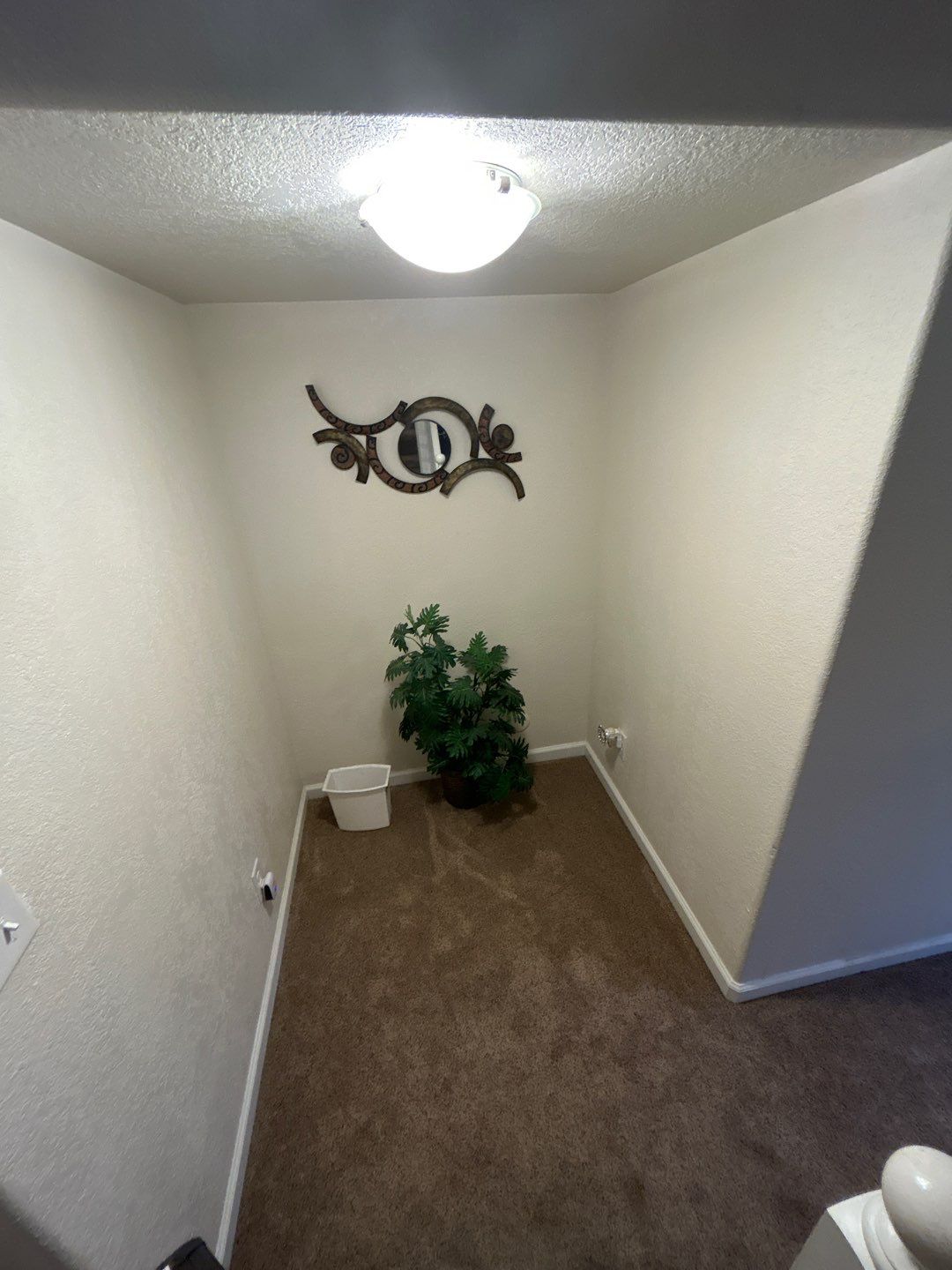 Mold Damage Project in Thornton by Accountable Home Services