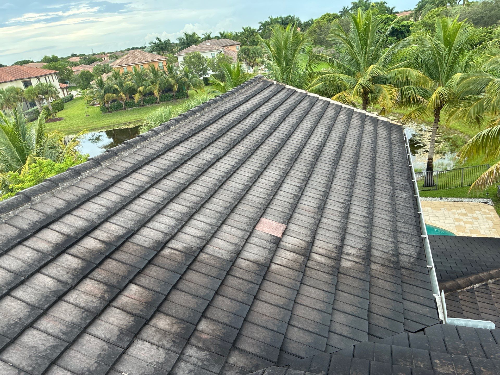 Heron Bay Parkland Painting by BKB Pressure Cleaning LLC