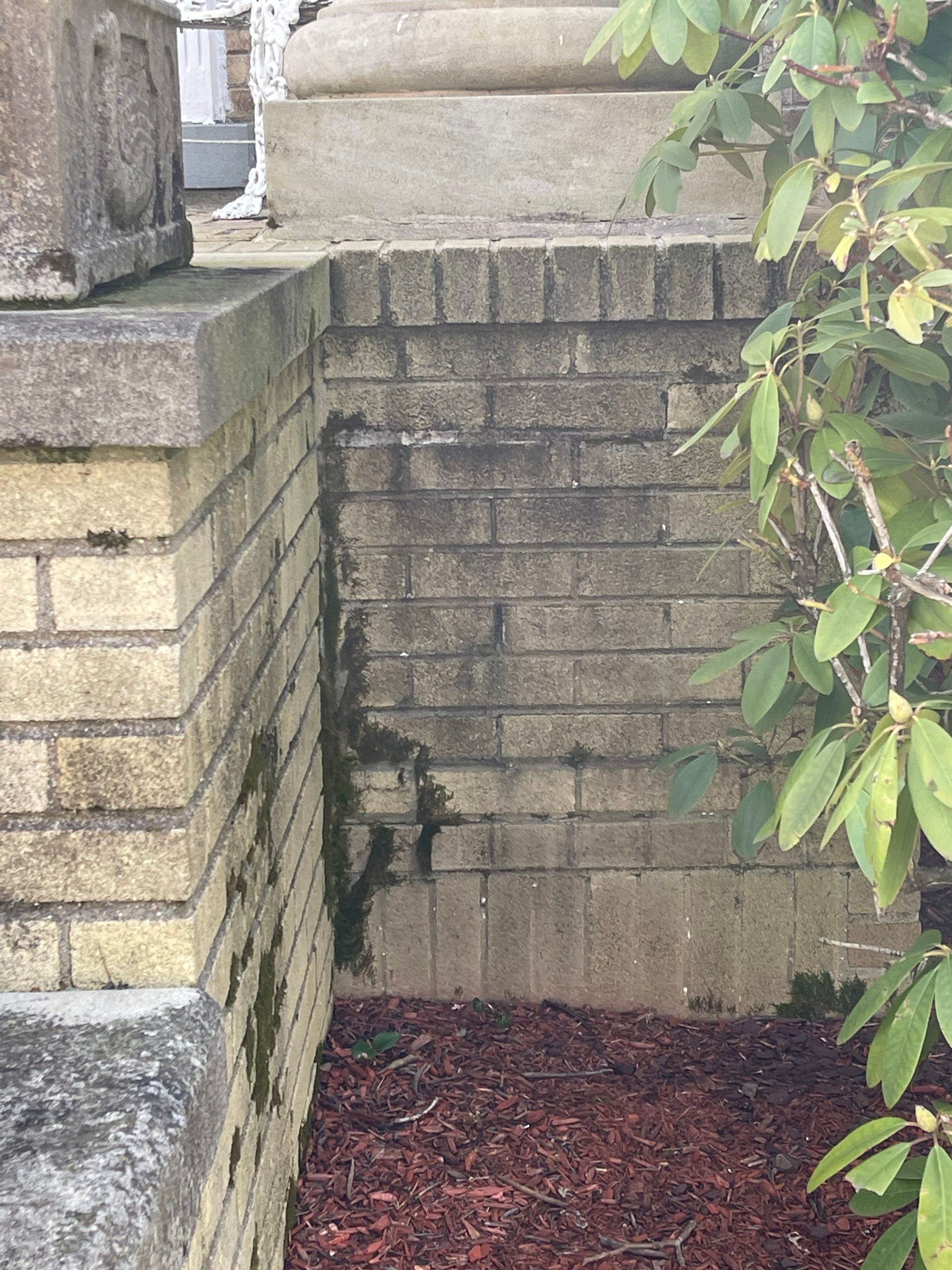 House, Pool & Rear Patio, Garage & Fence by SJ Exterior