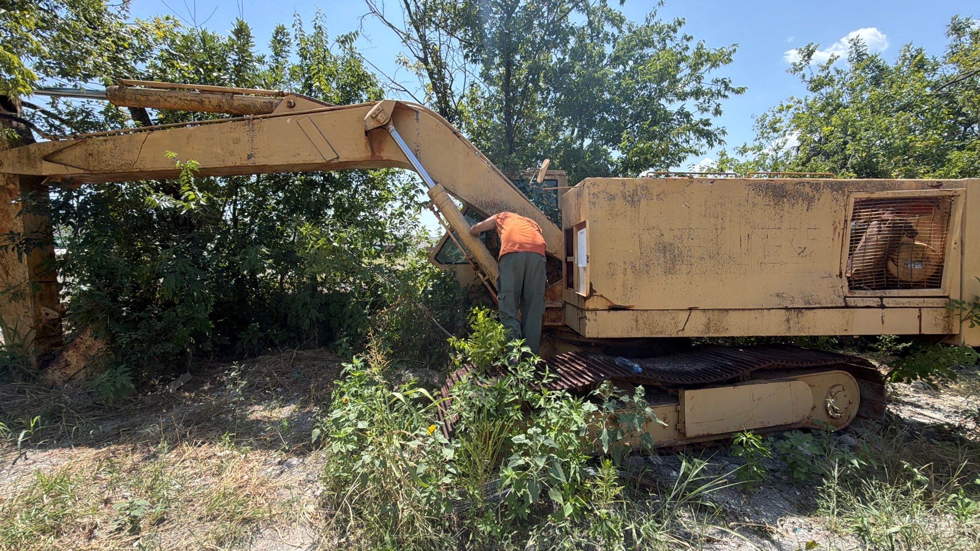 Backhoe Bees by Rockwall Honey Bee Company