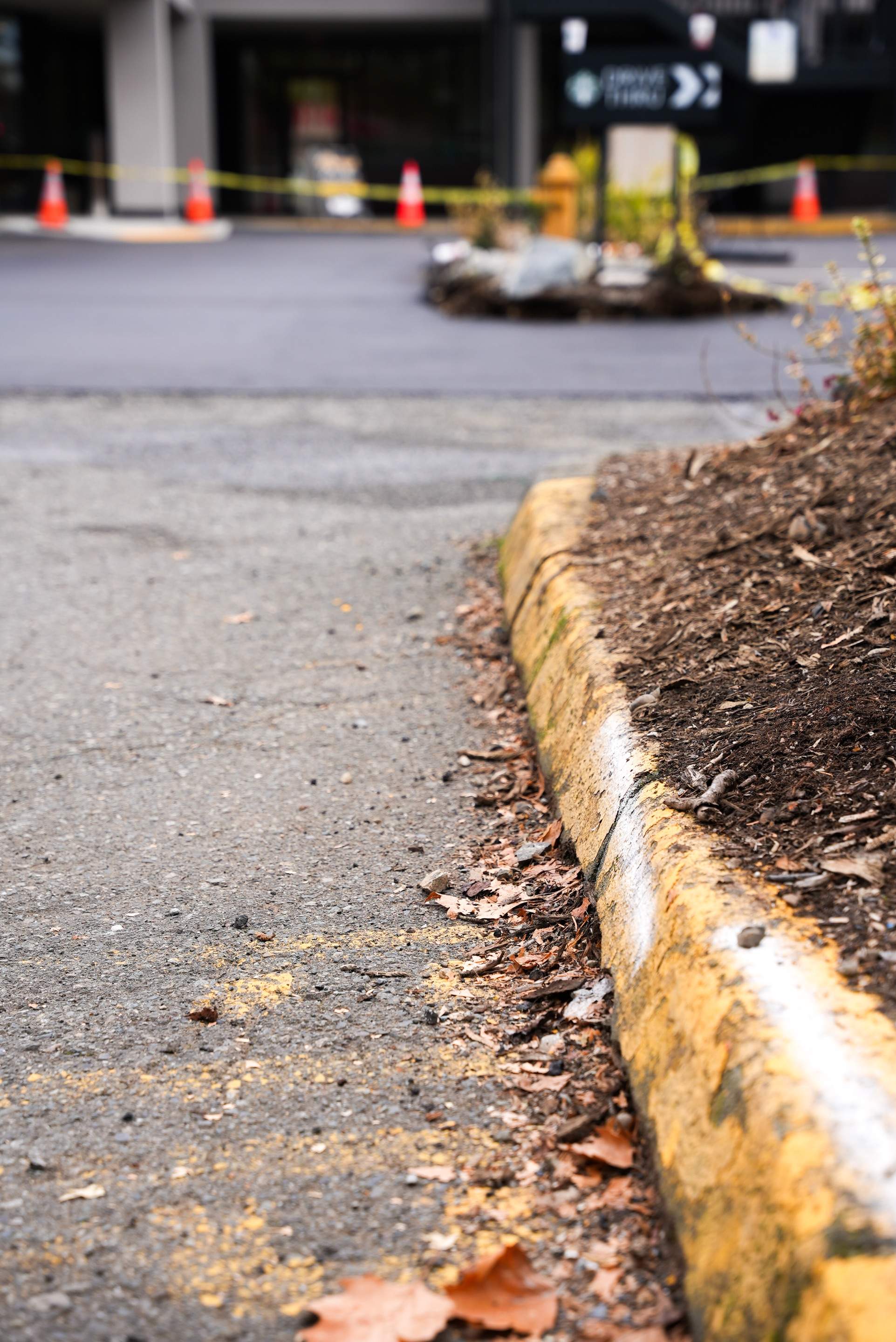 Colliers - Woodinville New Asphalt Parking Lot by Jireh Asphalt & Concrete Inc 