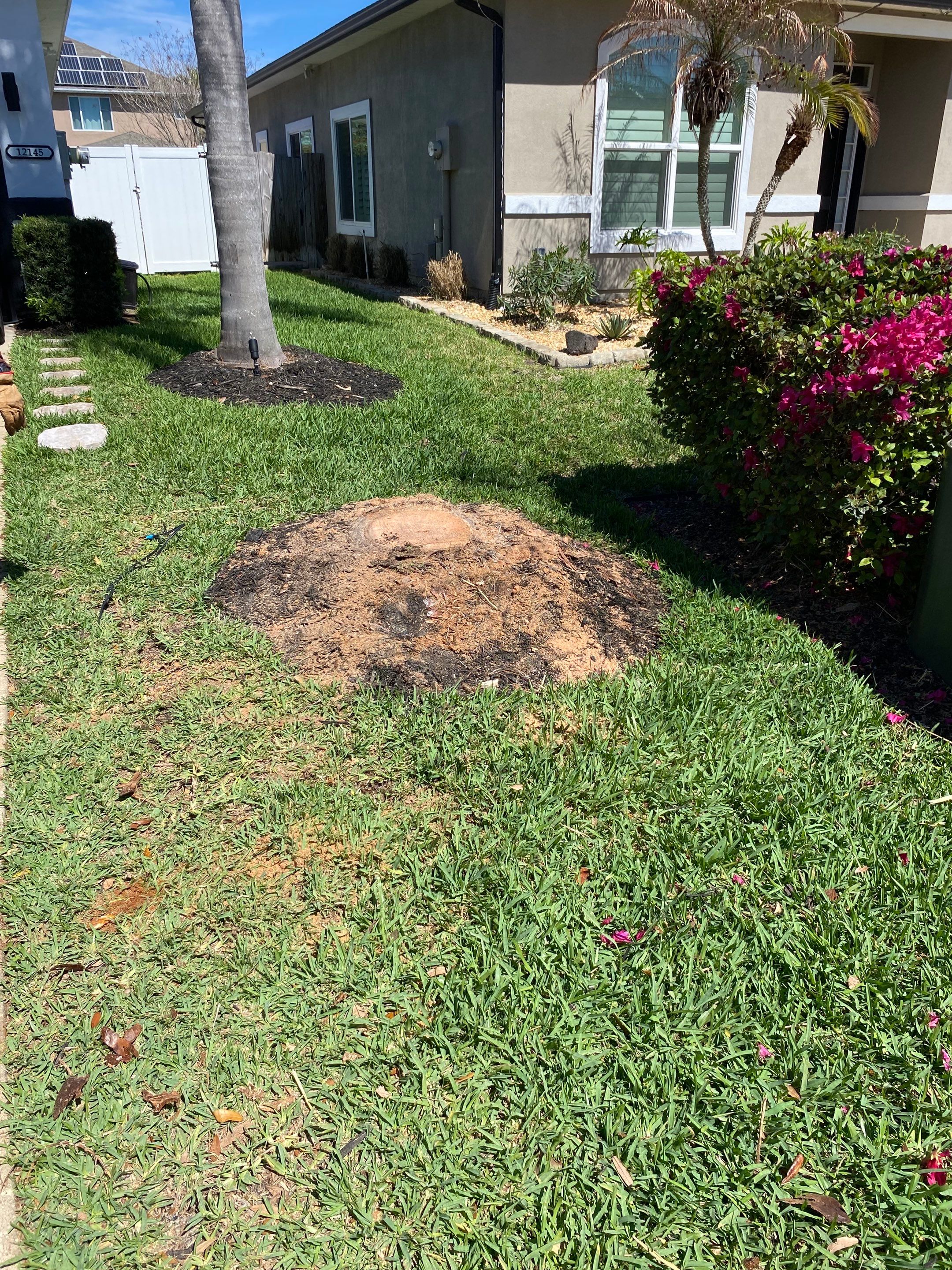 Residential | Tree Service by ProGreen Services