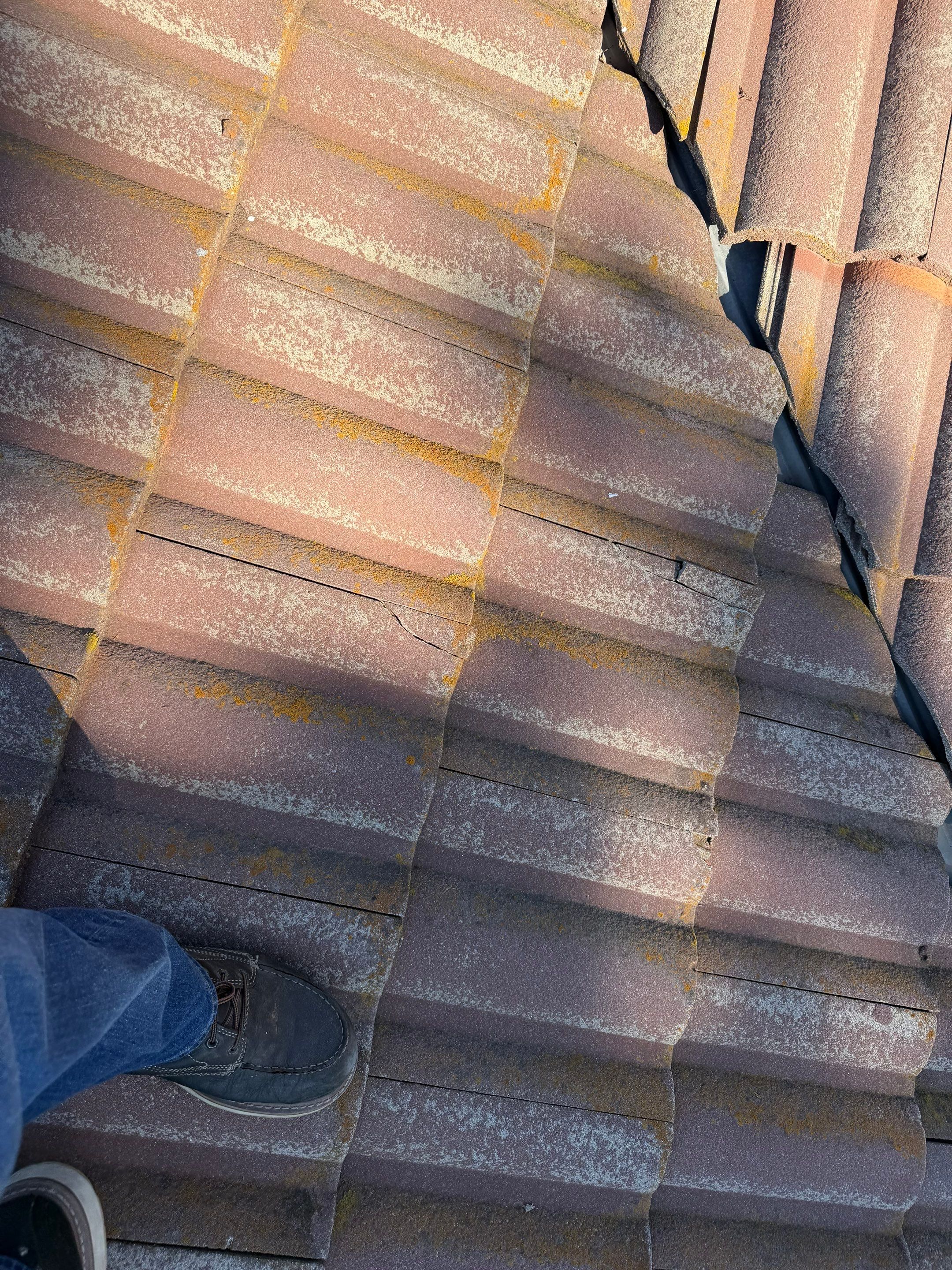 Project in Citrus Heights  by NuLead Construction Inc