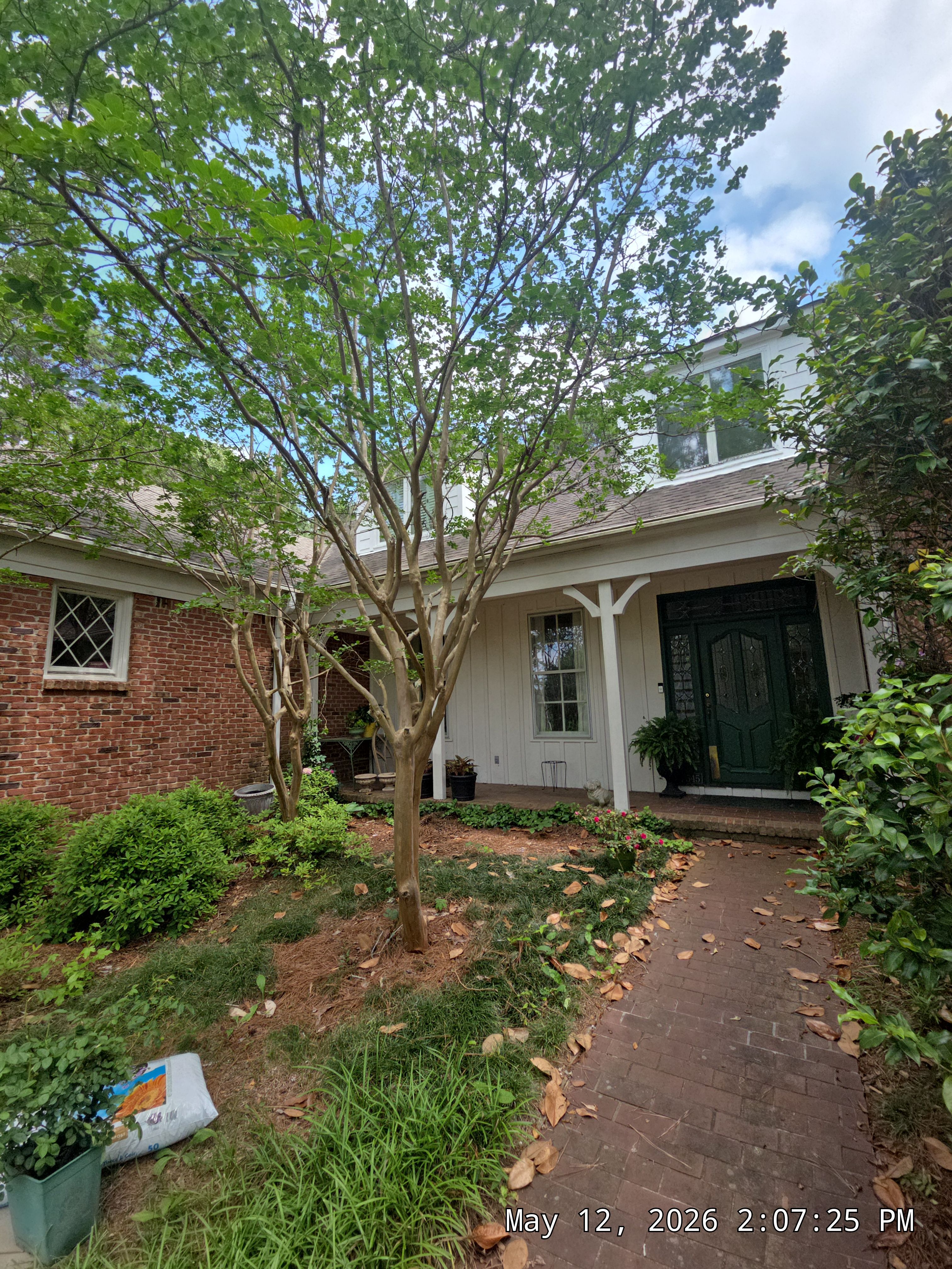 Ackerman Project in Vestavia Hills by The Window Source