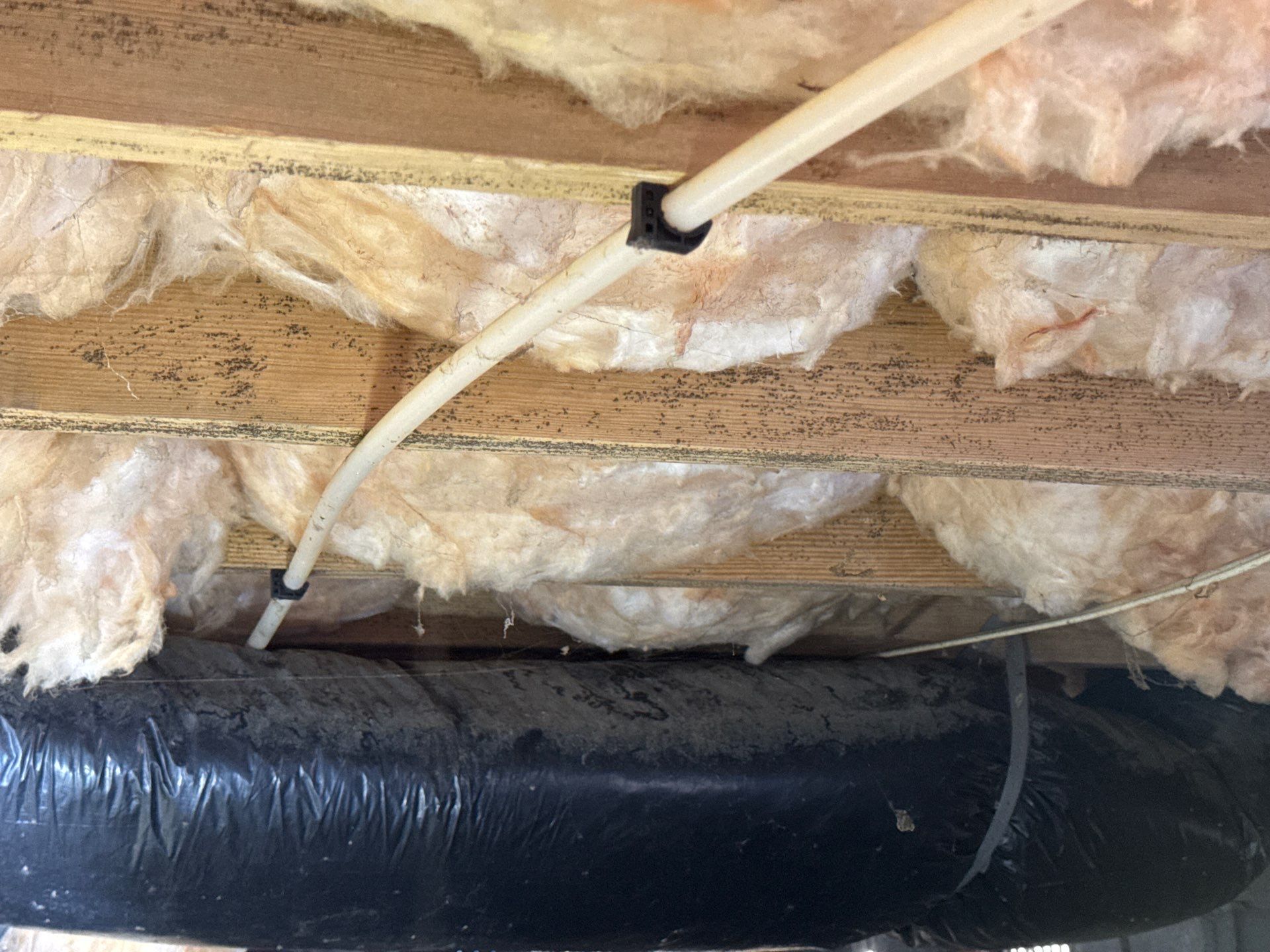 Project in Ivor by Patriot Crawl Space Repairs