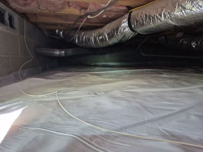 Project in Williamsburg