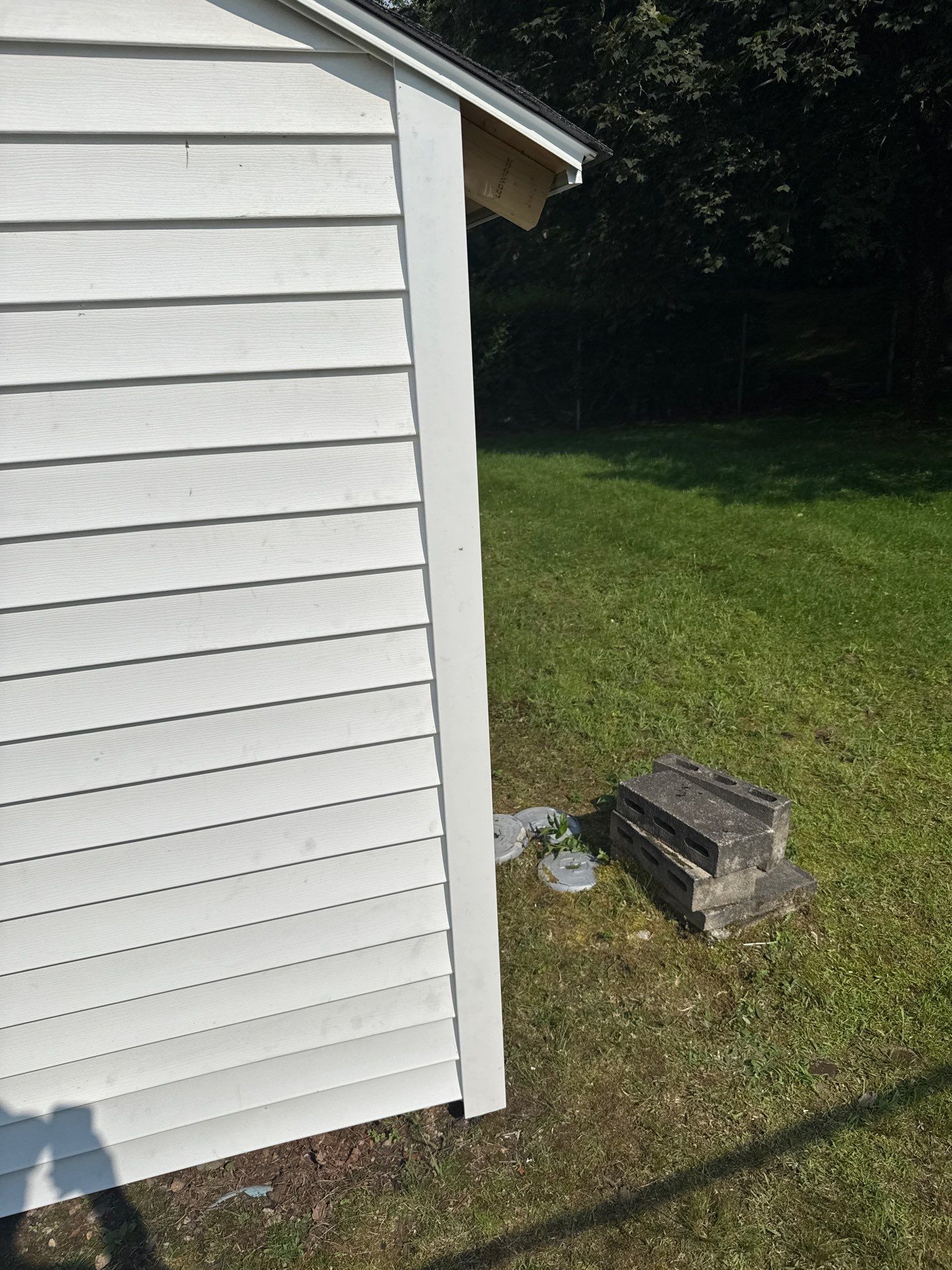 Siding, Roofing & Windows | Wilmington by Mighty Dog Roofing of Greater Middlesex County