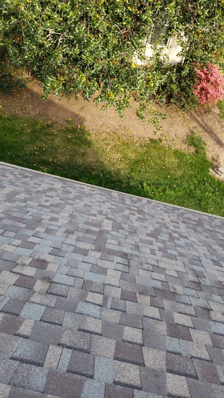 Springfield Certainteed Landmark Pro Designer Shingles by RM Banning, Inc.