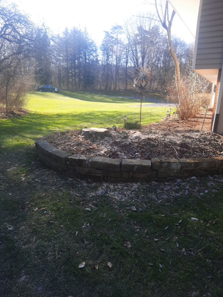 Tree Removal using Tree Removal by Mike Jones & Sons Tree Service LLC 