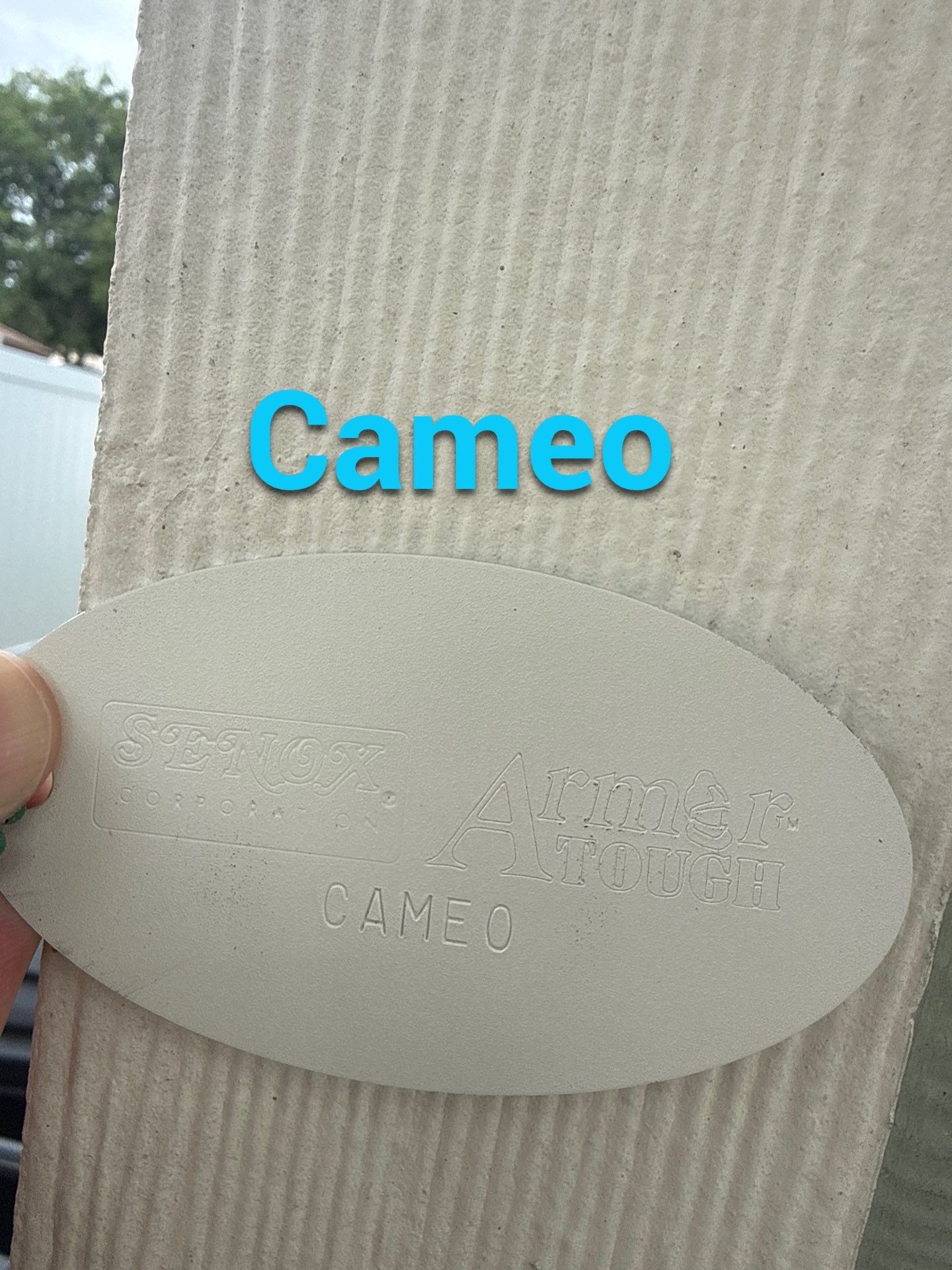 6-inch Cameo Gutters using K-Style Seamless Gutters in Saffner FL by Gutter Professors
