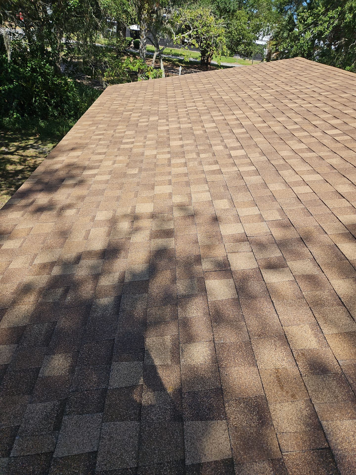 Shingle Reroof Replacement Sanford FL by Pinnacle Roofing Group