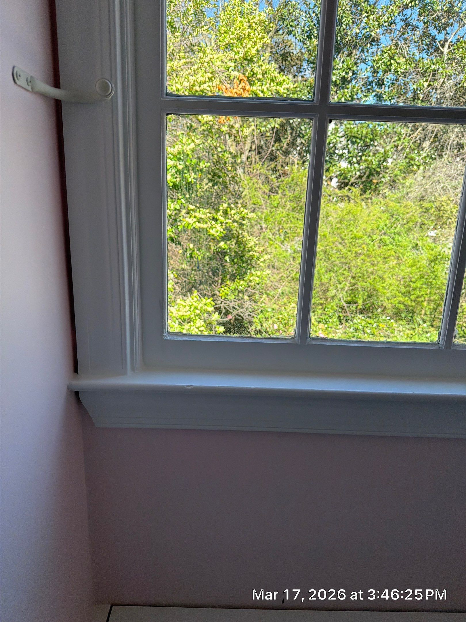 Interior Wall Repair and Crown Molding Installation by Praise God Painting, LLC