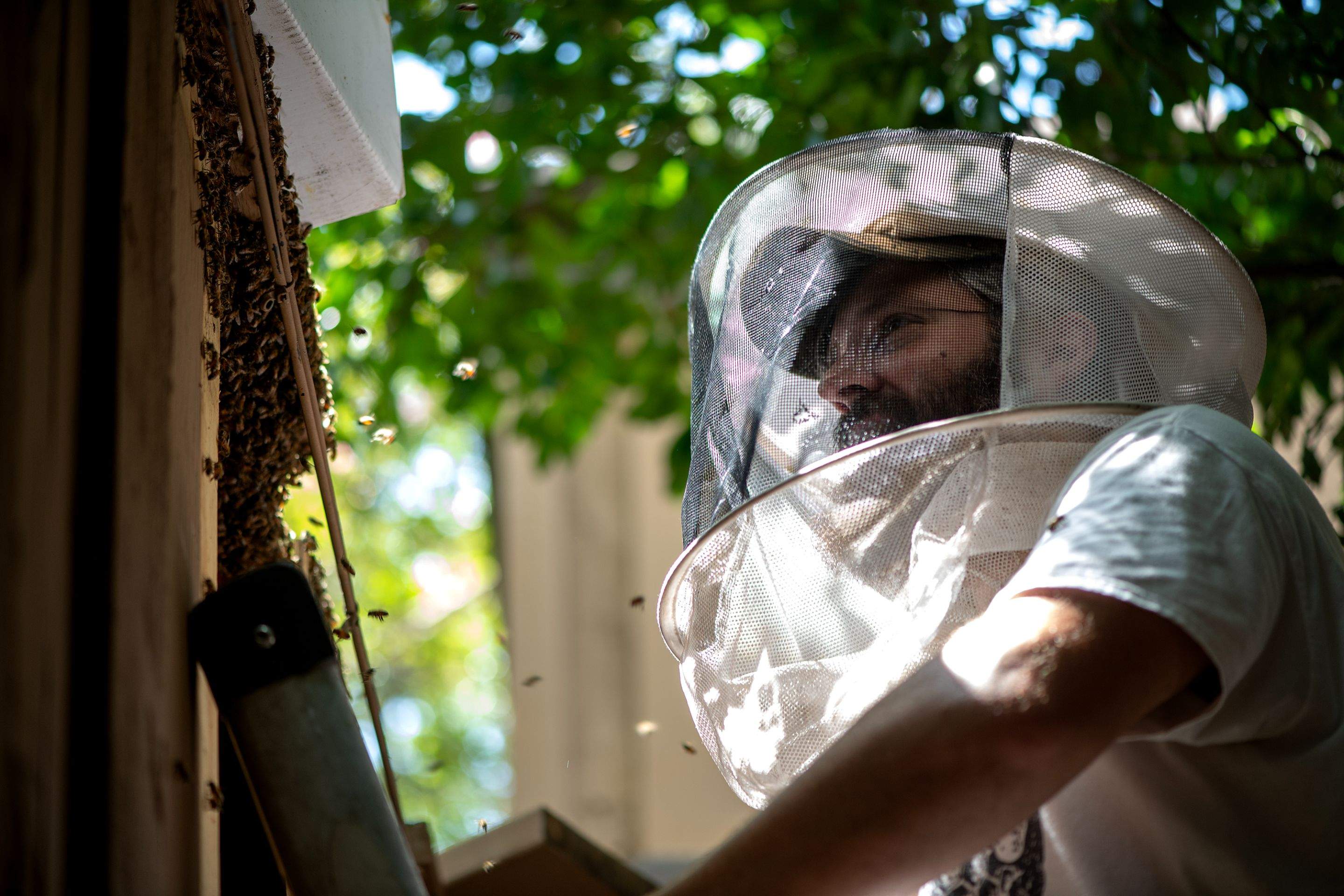 Condo Patio by Rockwall Honey Bee Company