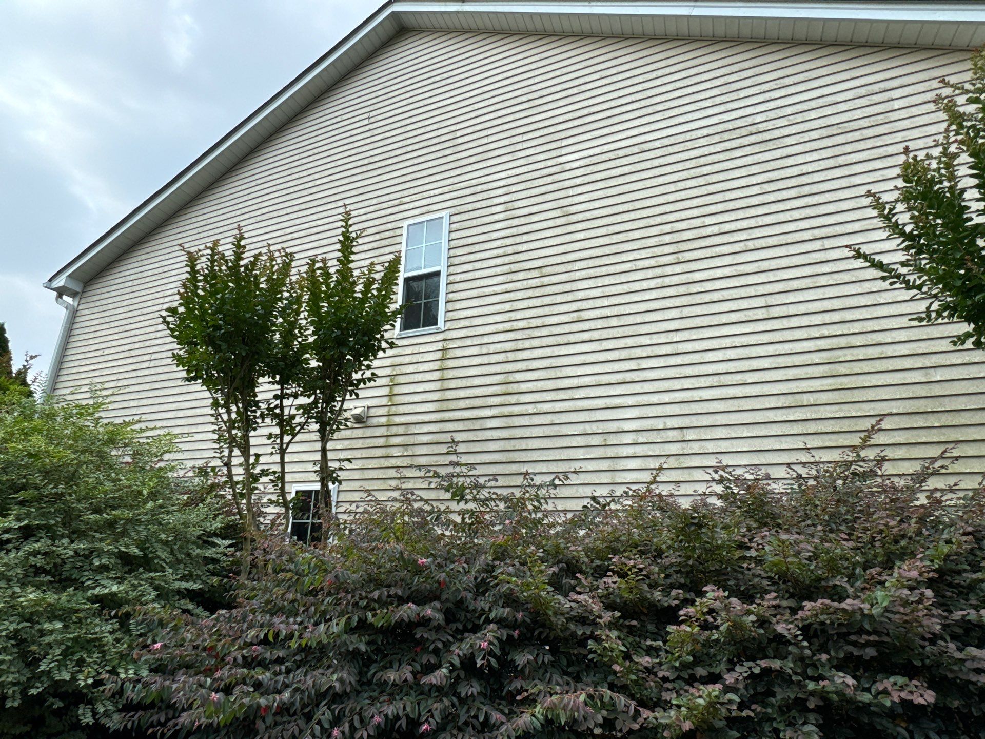 pressure washing exterior siding to remove dirt and mildew from the house surfaces