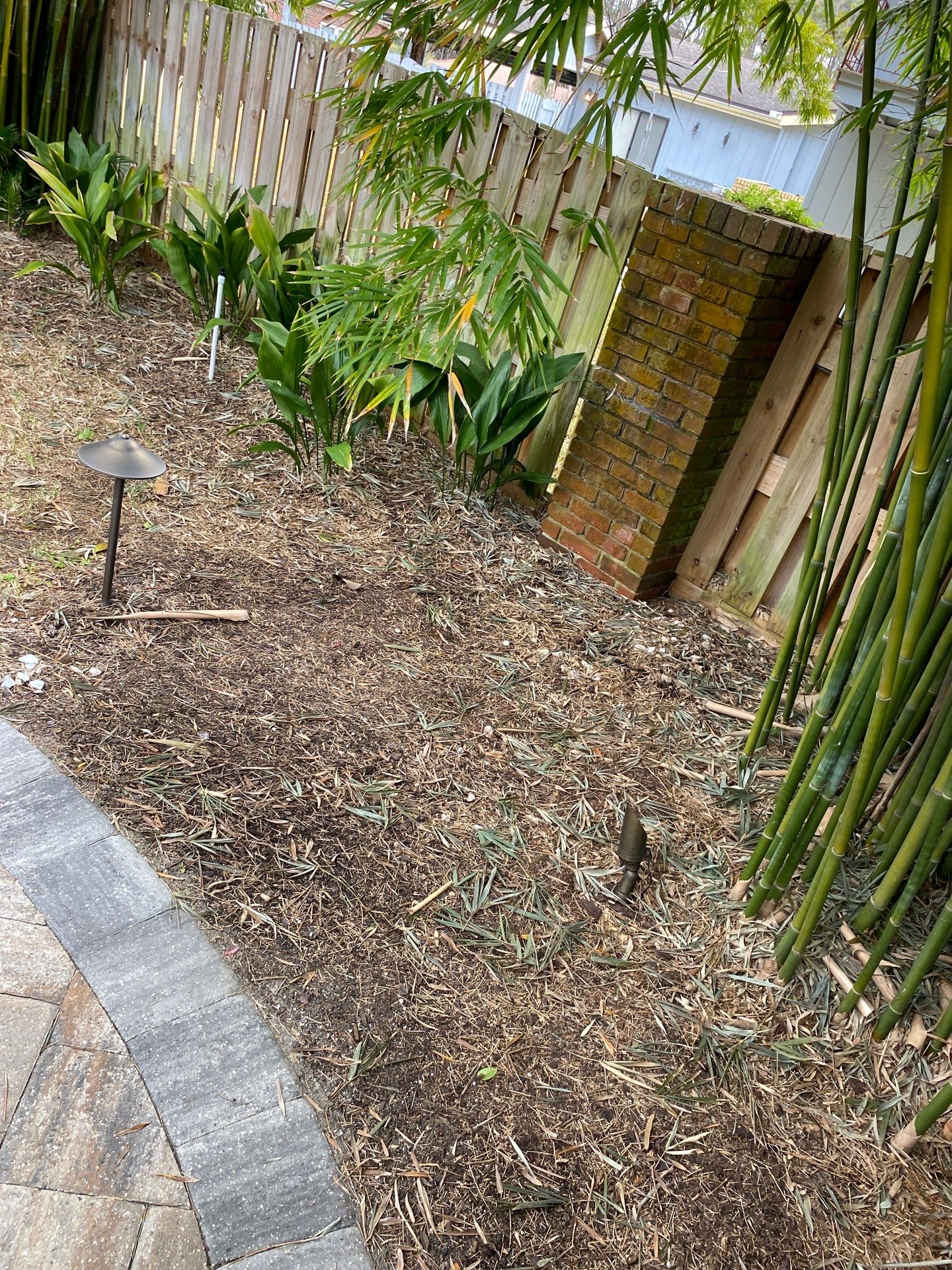 Deerwood Resident | Tree Removal & Mulch Install by ProGreen Services