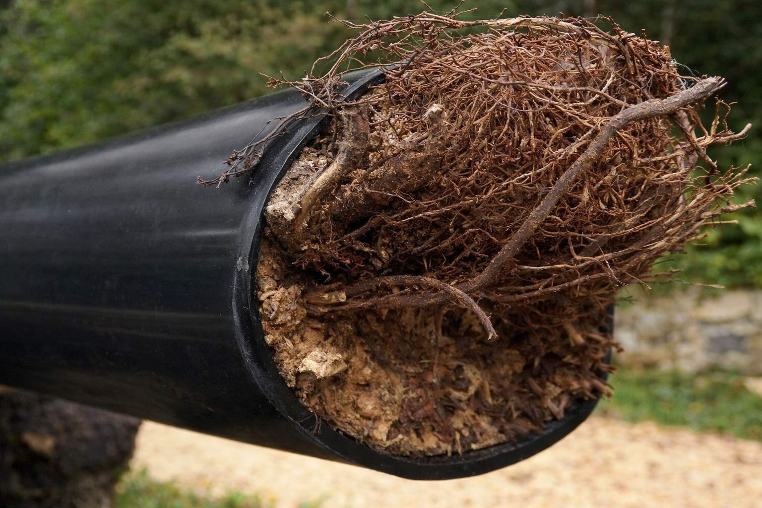 Targeted Sewer Repair After Repeated Backups by McCray's Handyman, Inc.