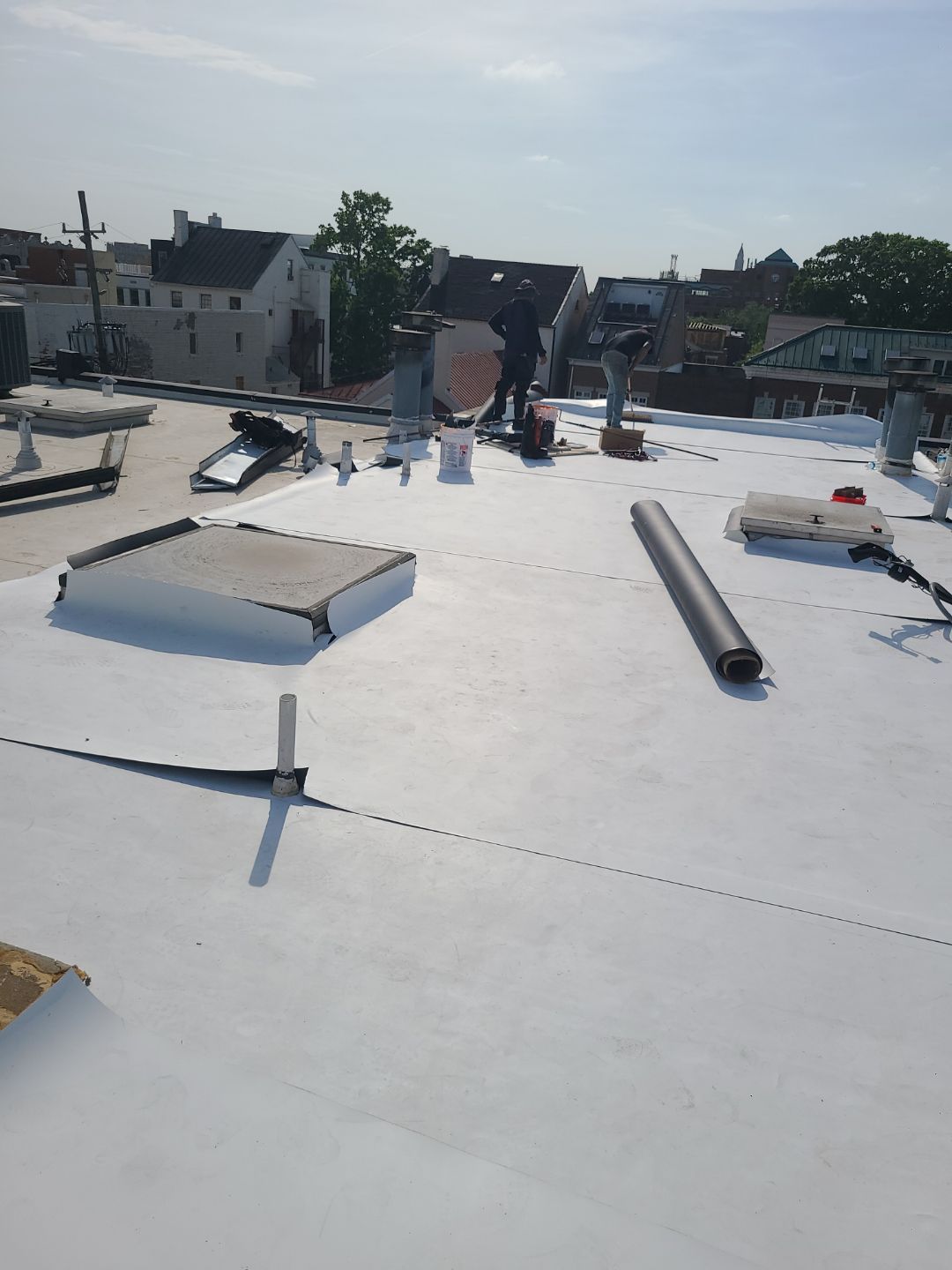 Alexandria: Carlisle Syntec TPO Flat Roof Installation by RM Banning, Inc.