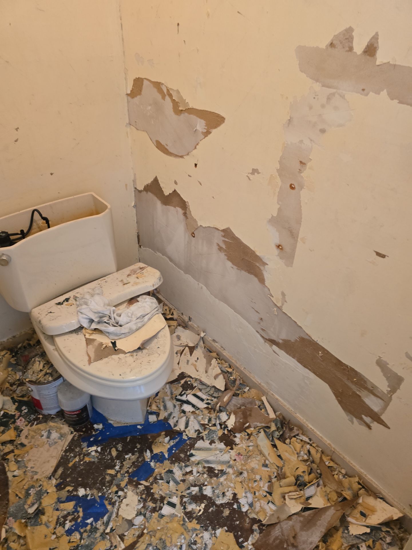 Wallpaper Removal / Interior Painting  by John “The Greek” Painting