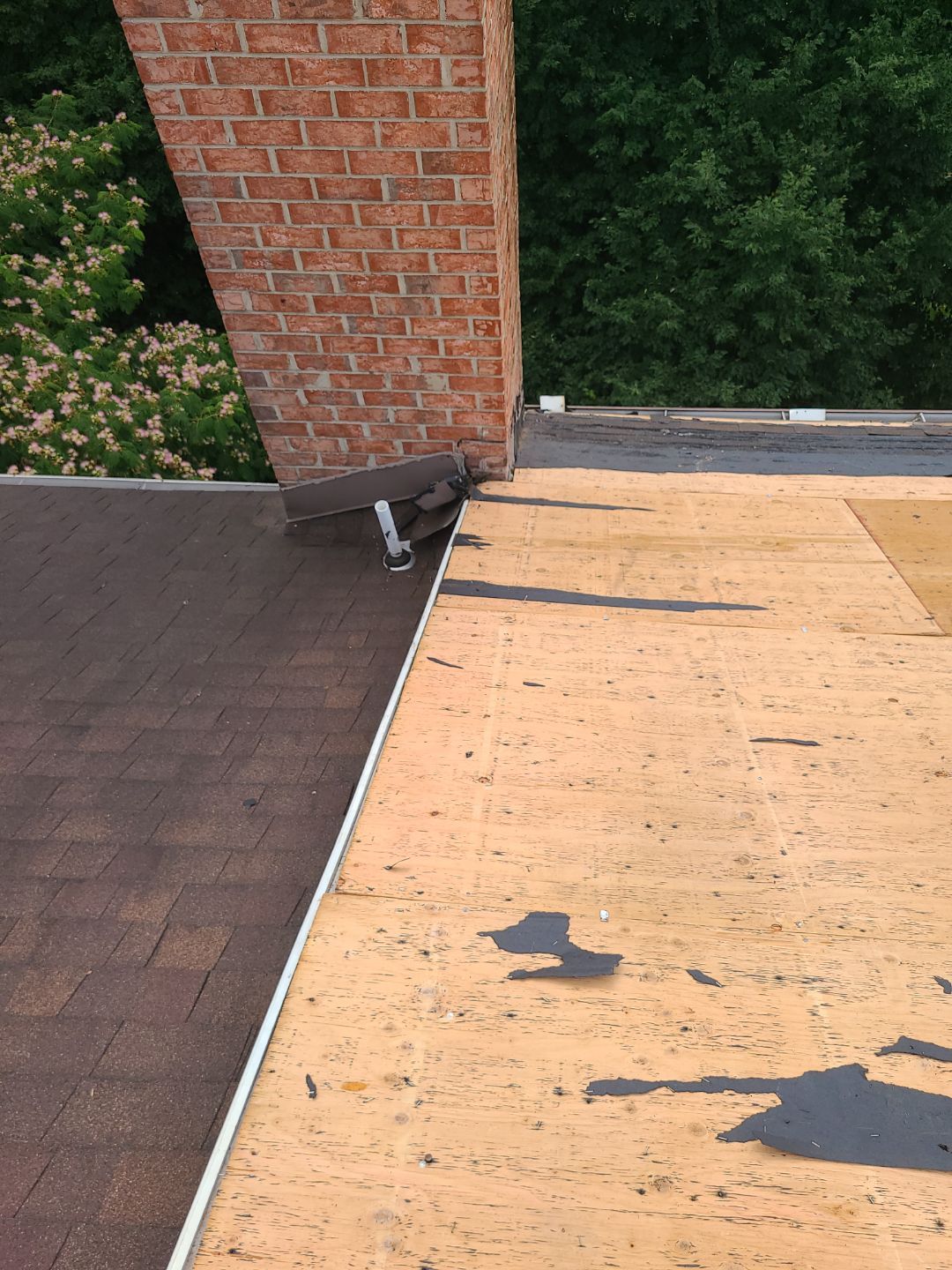 Alexandria: Roof Replacement with CertainTeed Landmark Pro in Max Def Burnt Sienna by RM Banning, Inc.