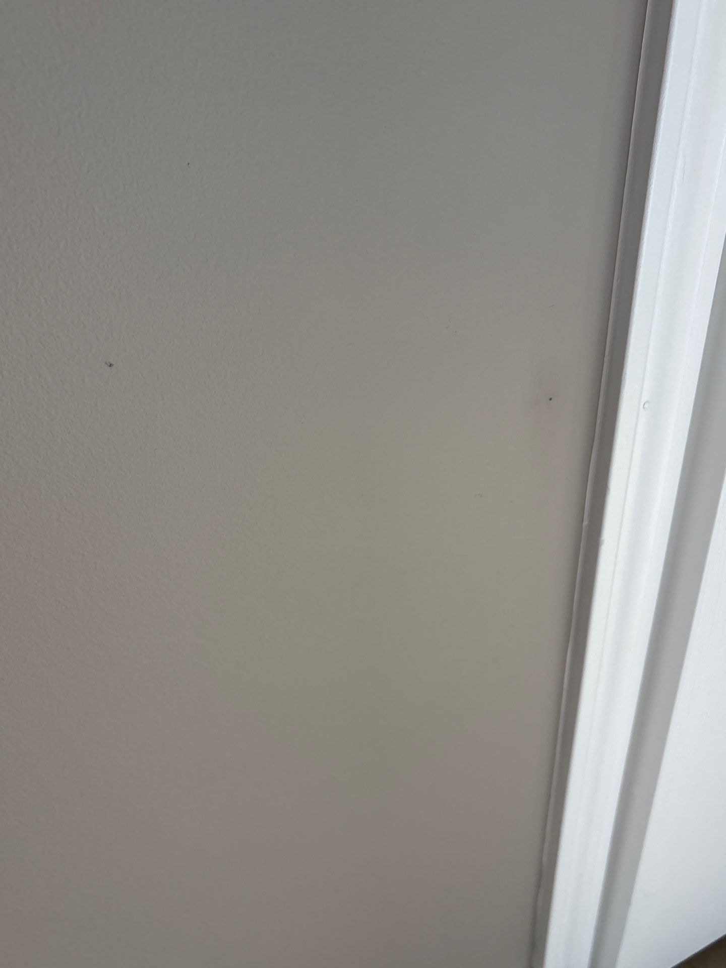 Transformation Complete for Paul & Vickie’s Home by Pathway Home Painting & Improvements