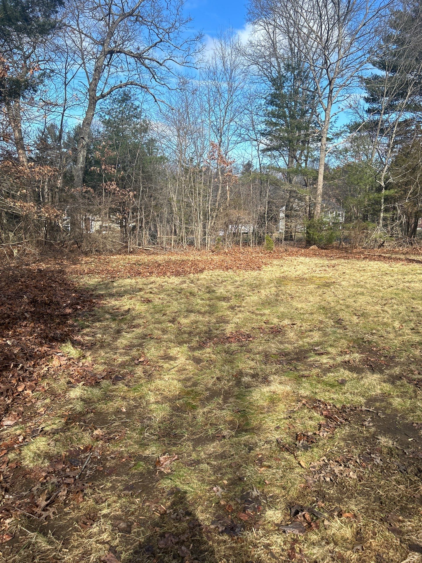 Landscape Walkthrough by LaMere Landscaping and Property Maintenance