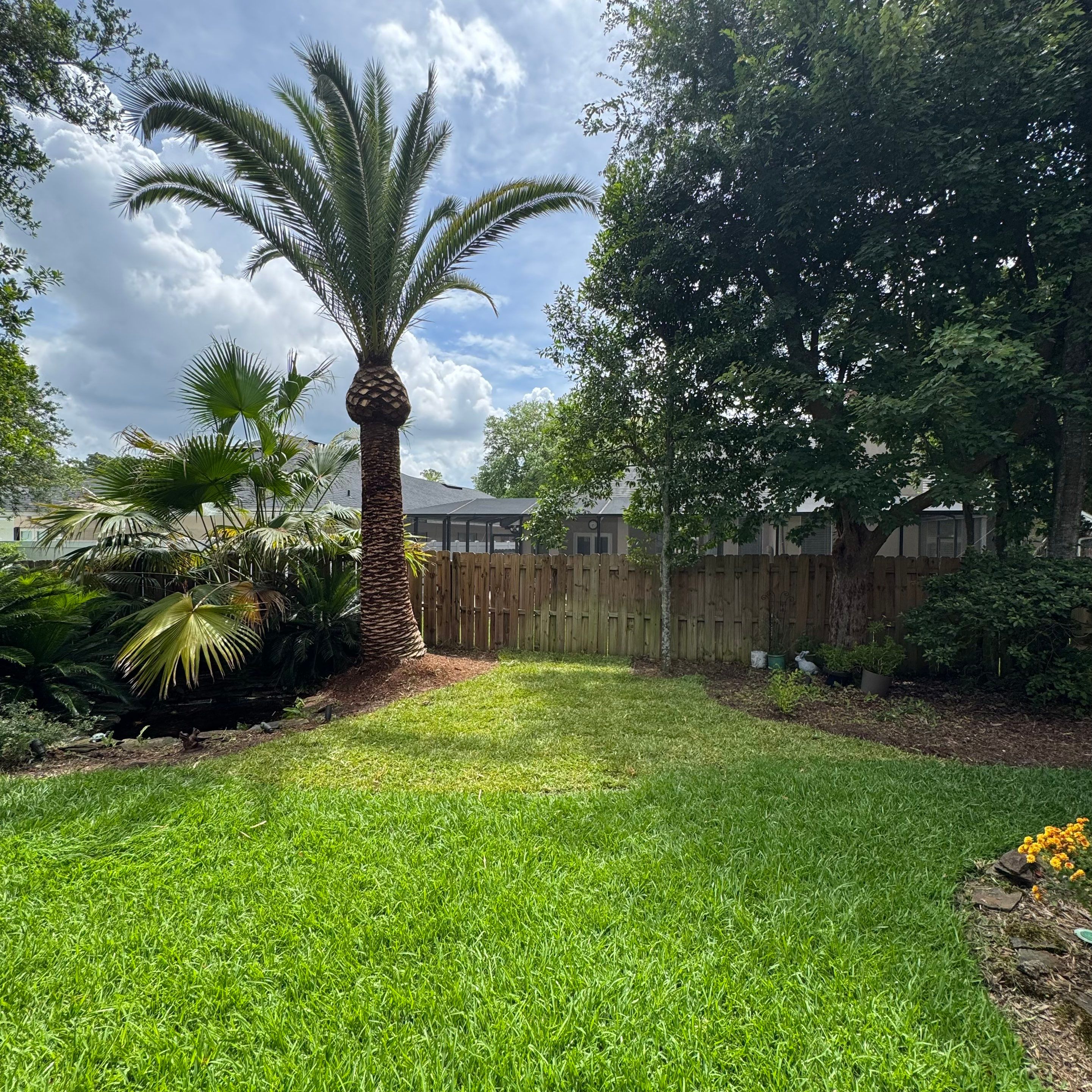 Deerwood Resident | Tree Trimming & Sod Install by ProGreen Services