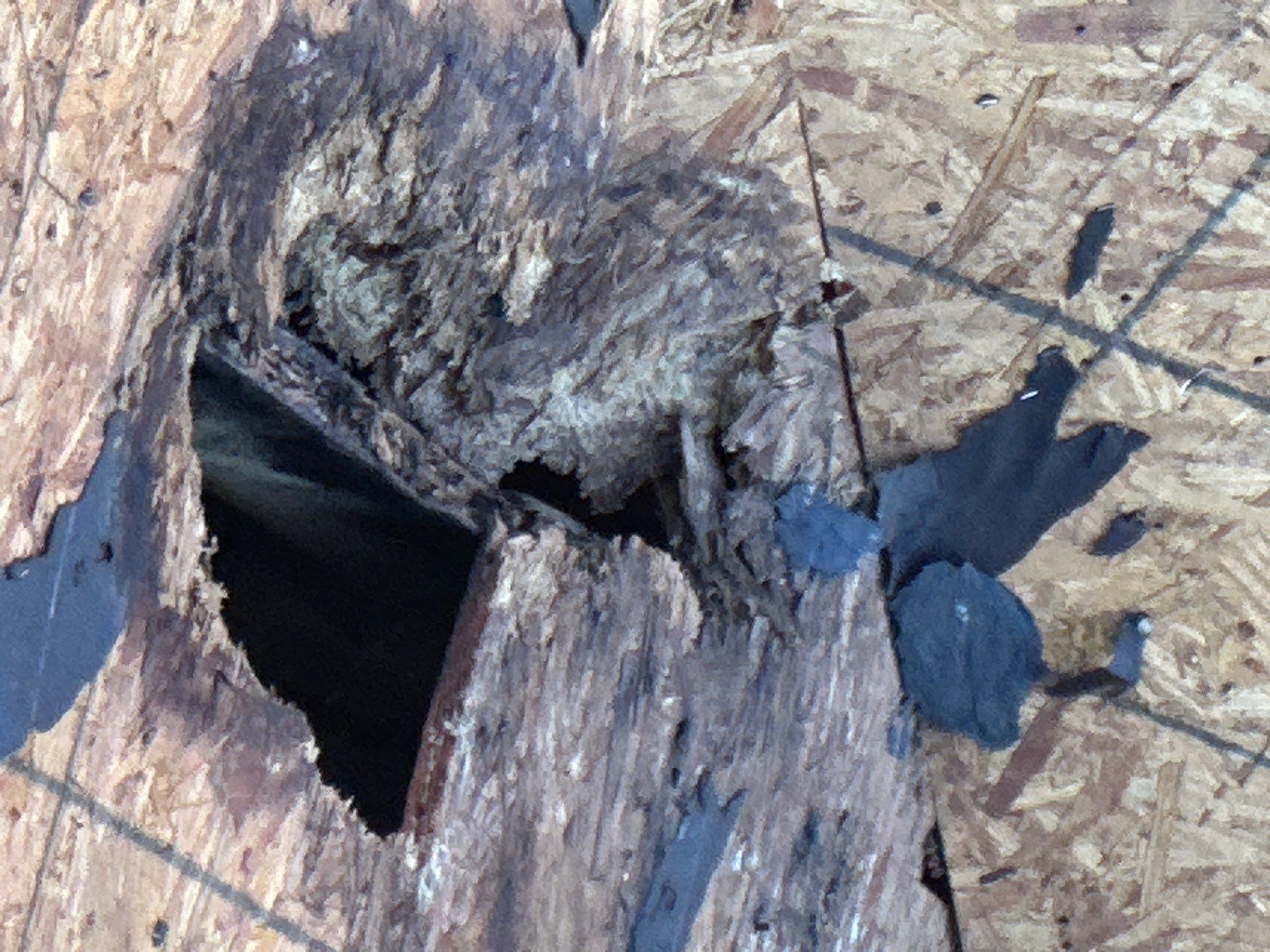 The Murners by United Contracting and Roofing