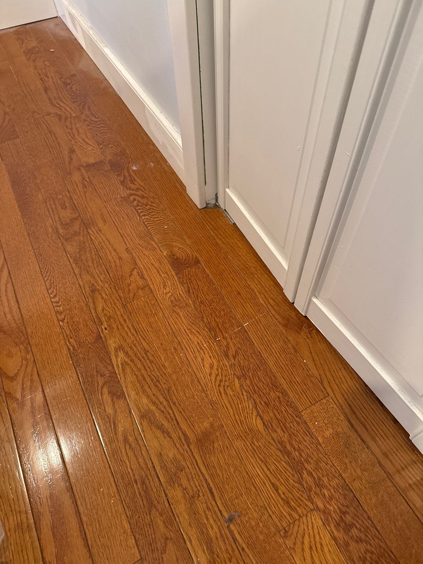 Interior Home Painting in Philadelphia, PA by Groovy Hues
