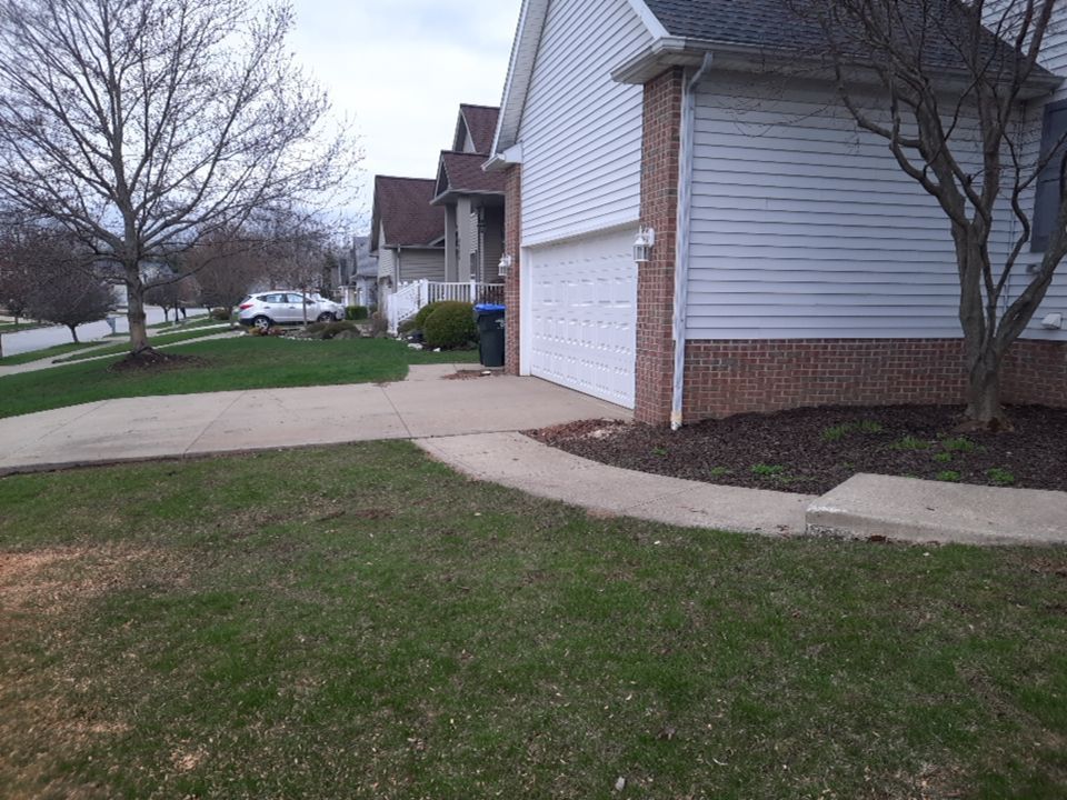 Tree Removal using Tree Removal by Mike Jones & Sons Tree Service LLC 