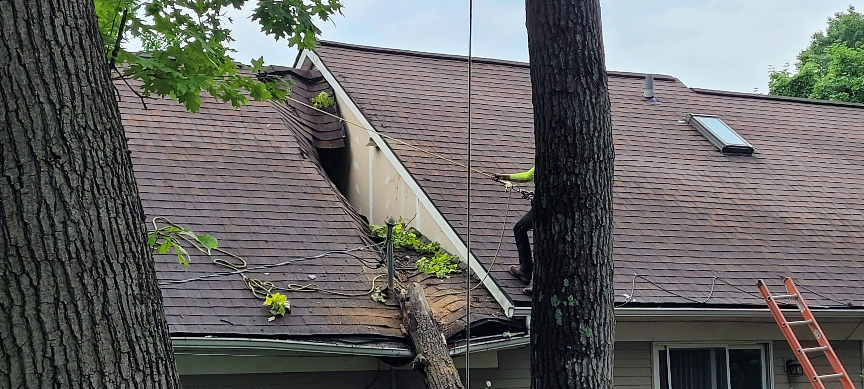 Tree Damage in Lake Orion, MI by Storm Guard - Metro Detroit North
