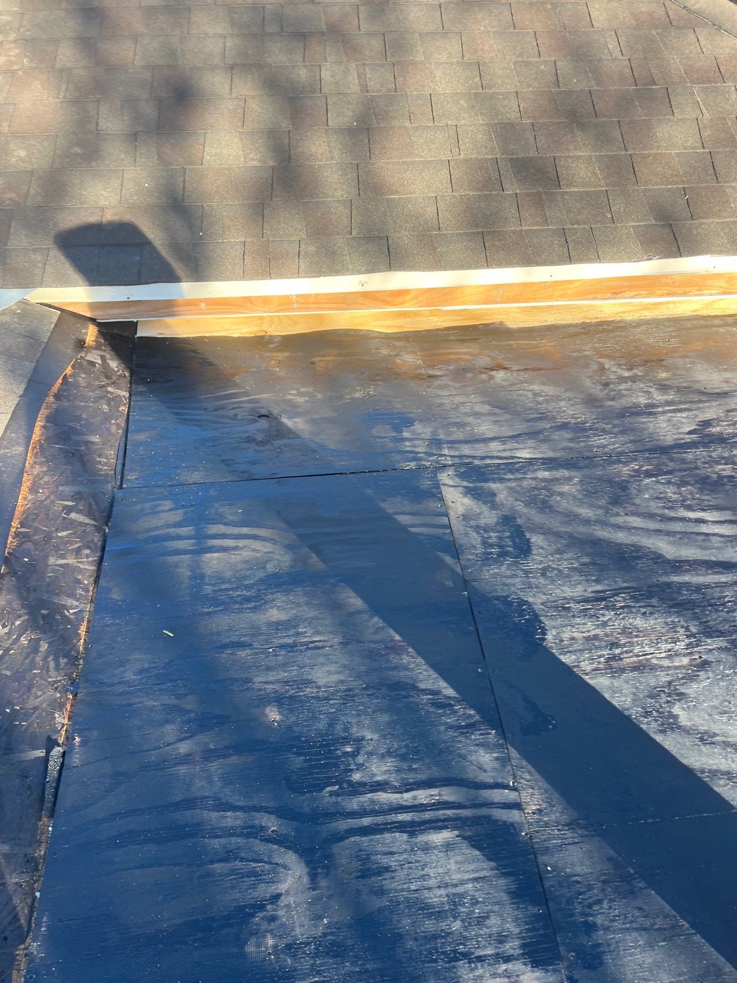 It Ain't Easy getting Shady  by Bayfront Roofing and Construction