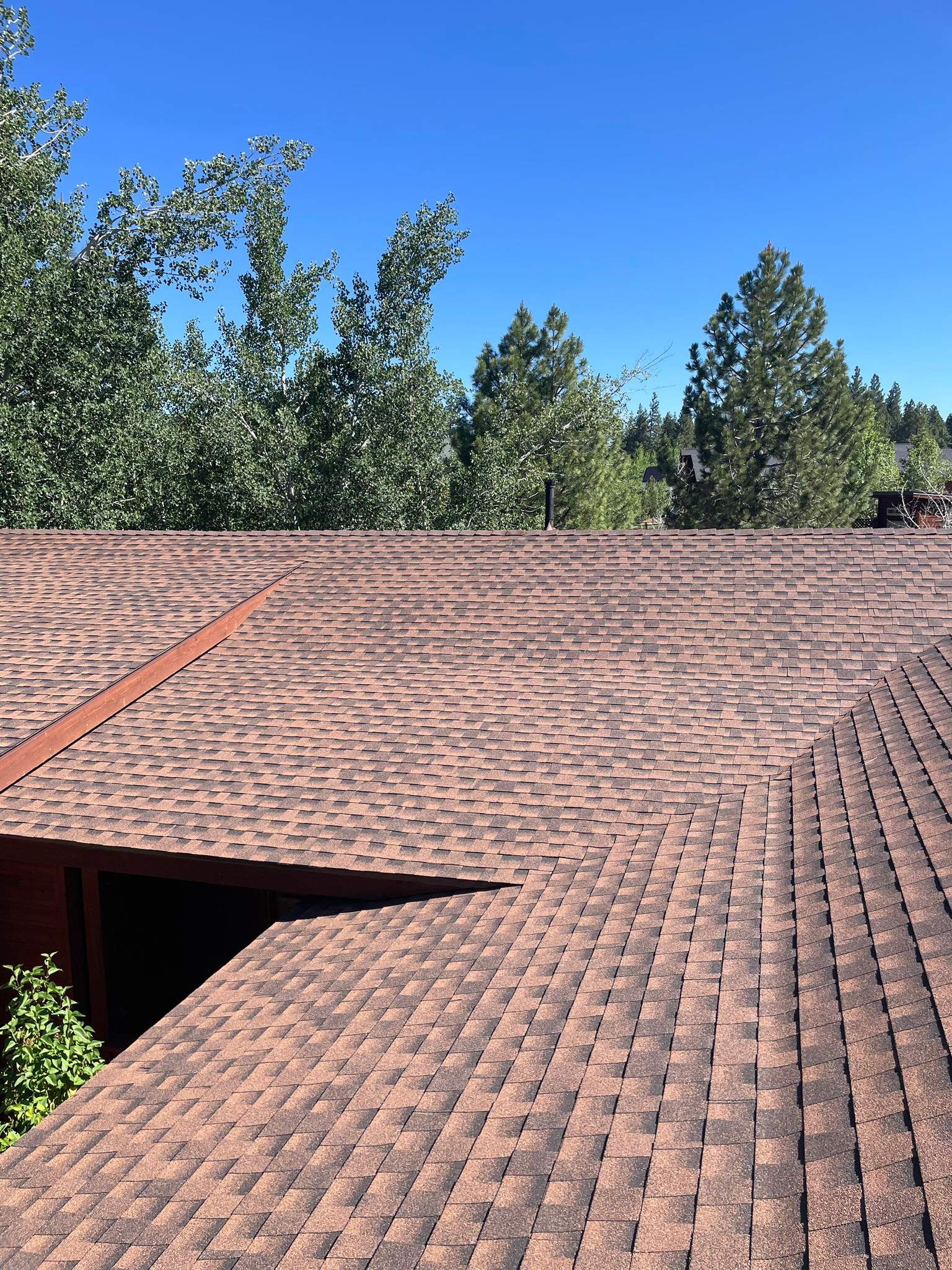 Truckee Shingle by Butte Roofing Company License #567600