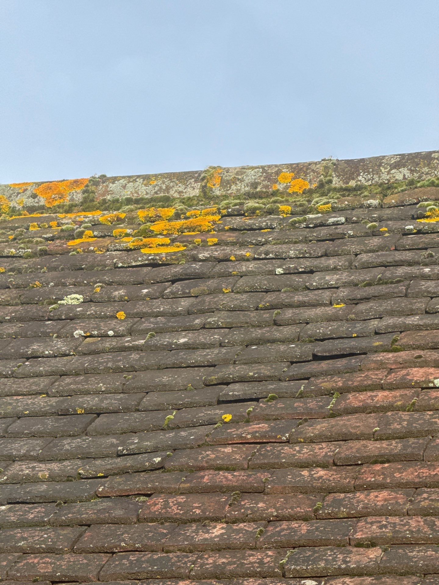 Exterior Clean - Roof - Patio - Driveway using Mosmatic FSC and Biocide by Ges Exterior Cleaning ltd