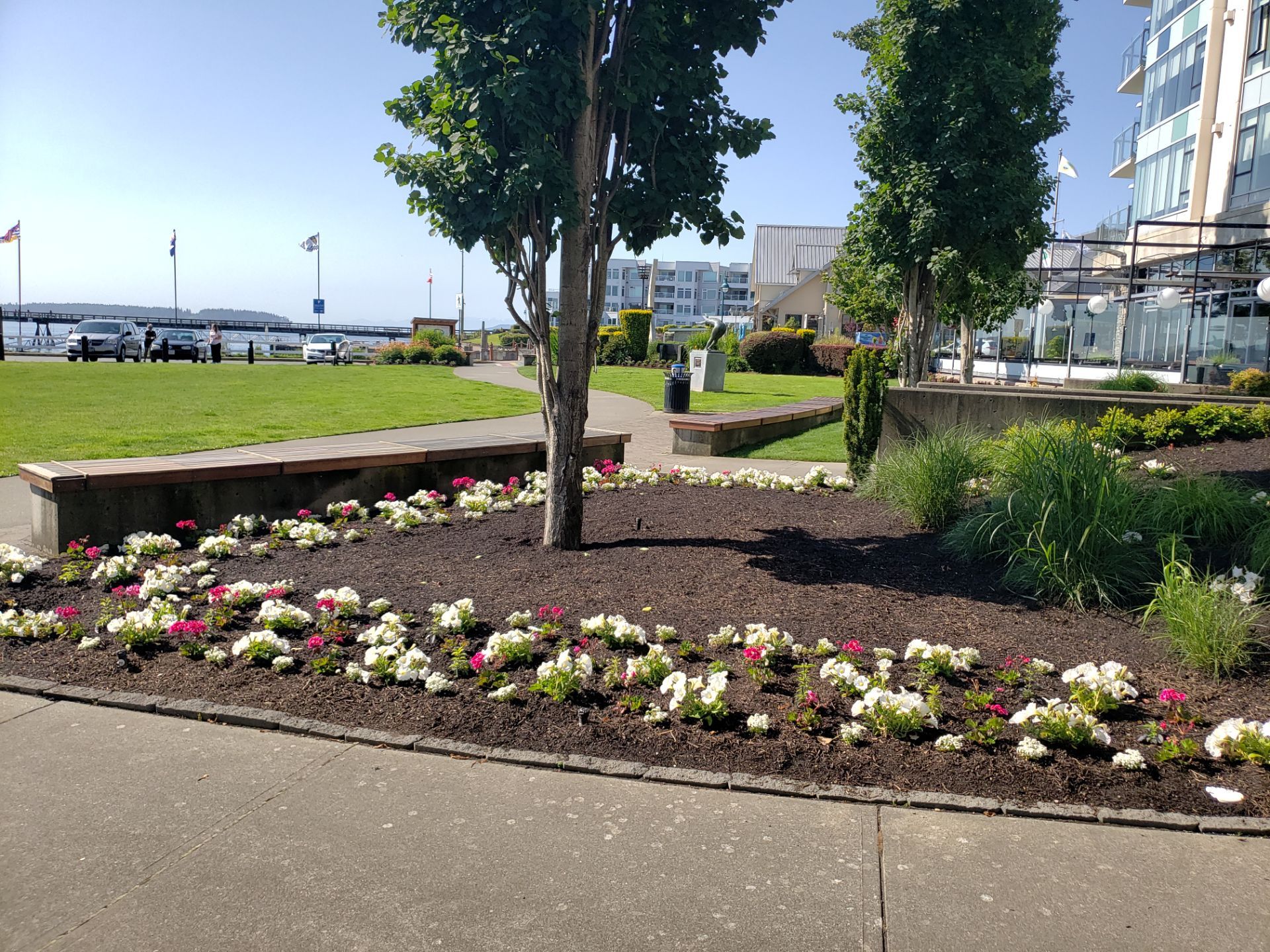 Sidney Pier by Habanero Garden and Exterior Care