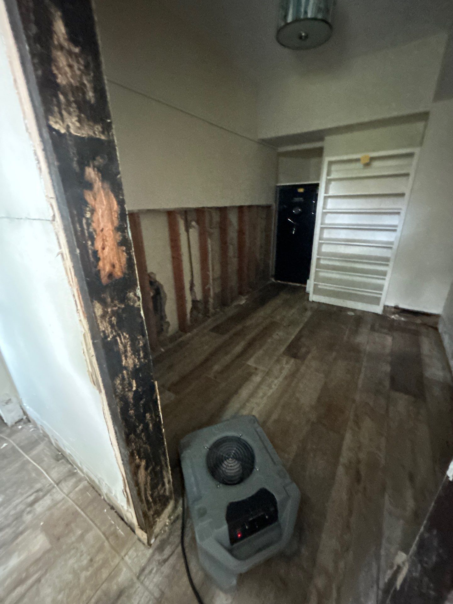 Water mitigation In Bradenton Florida by Ampm Restoration Services 