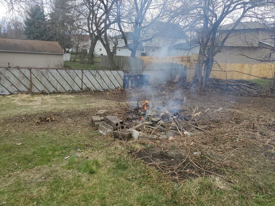 Tree Removal using Tree Removal by Mike Jones & Sons Tree Service LLC 