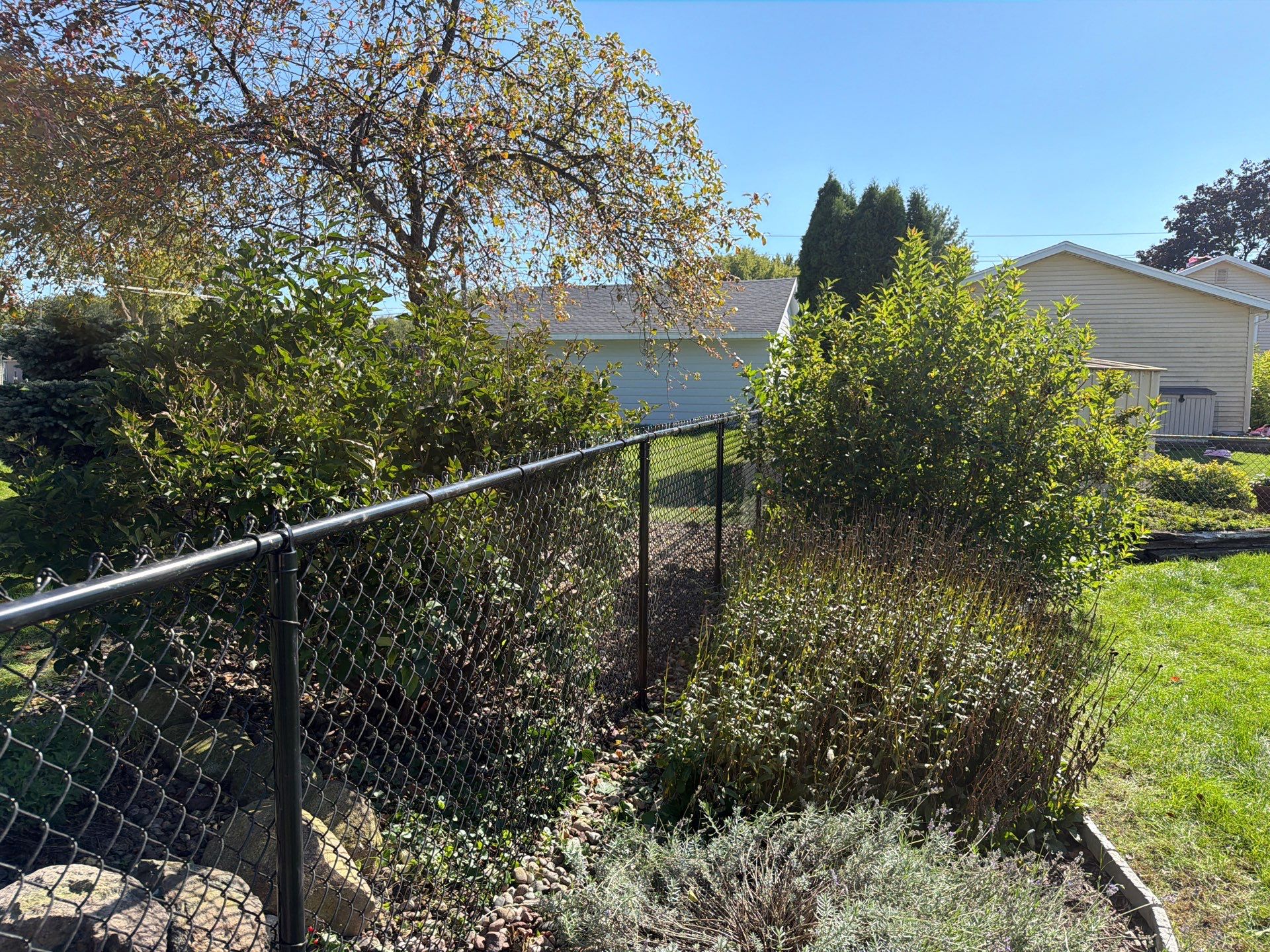 Custom Vinyl Privacy and Black Chain Link Fence Installation in Cedar Falls by Perfect Picket Fence and Stain
