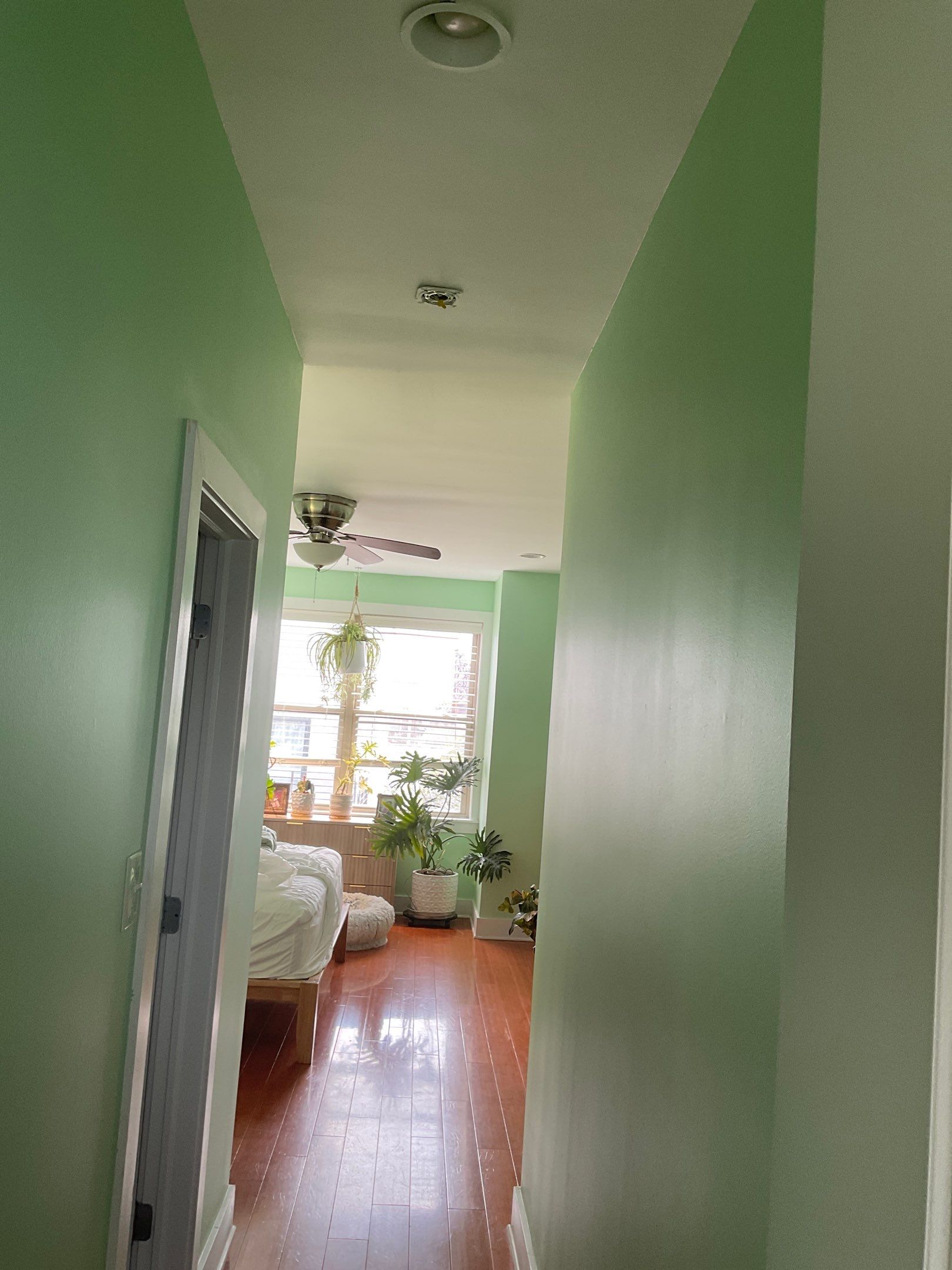 Bold Color, Fresh Energy, and a Full Home Refresh in Point Breeze ✨ by Groovy Hues