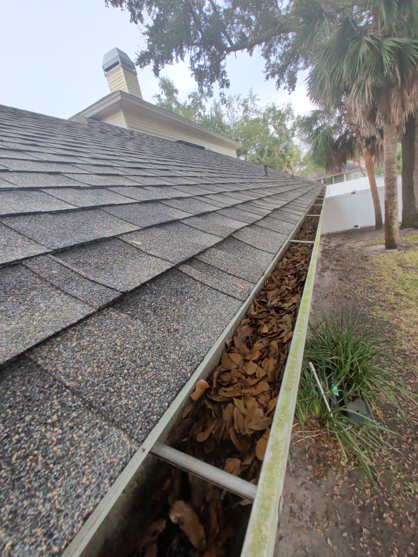Gutter Cleaning & Debris Removal — Oceanway (Northside Jacksonville) by Harmoni Home Services