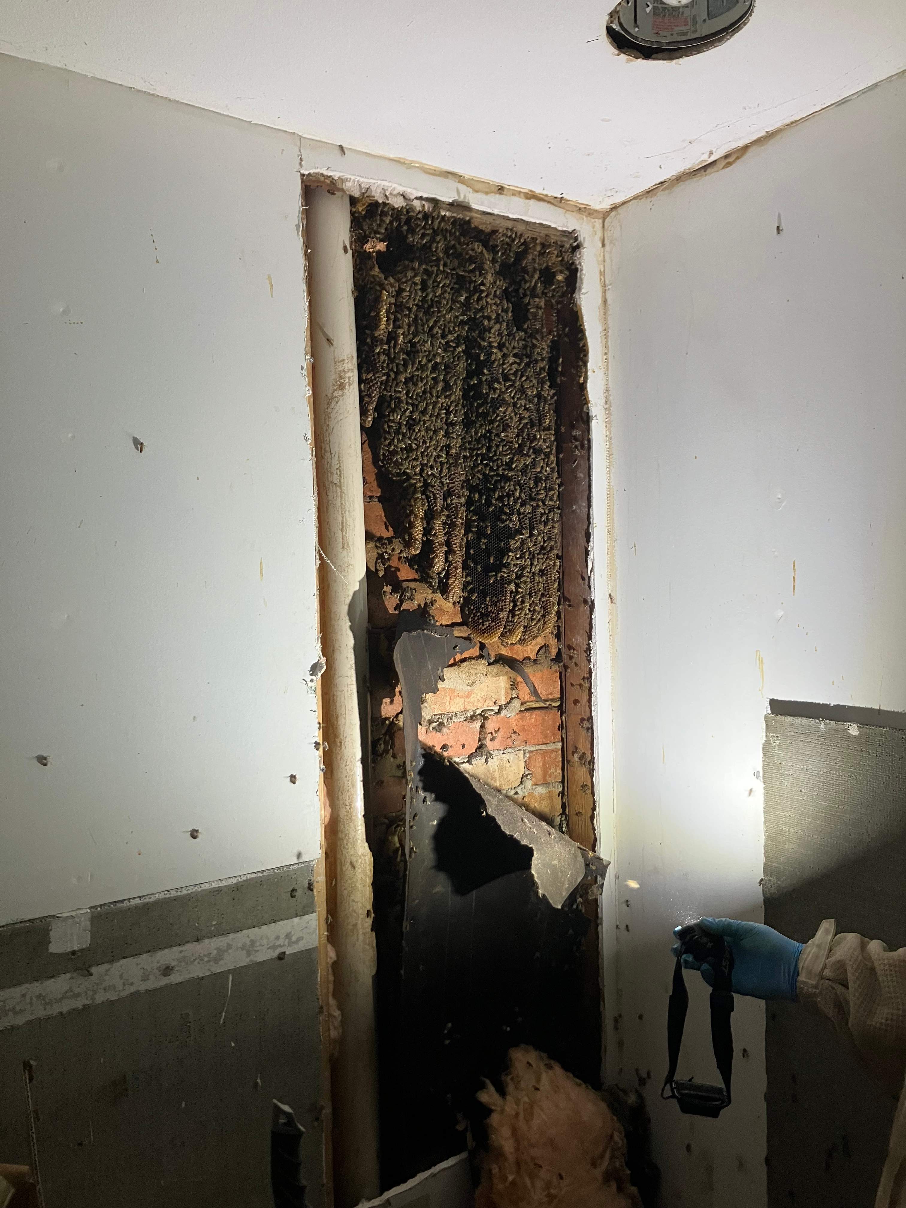 Improper Repair by Rockwall Honey Bee Company