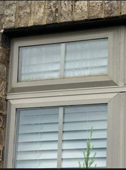 Maenza Project in Hoover by The Window Source