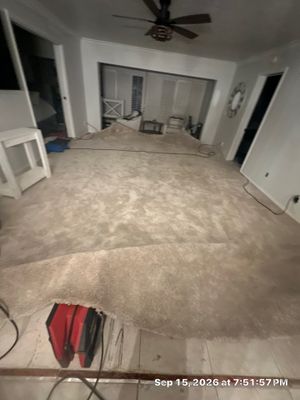 Flood Damage Cleanup — Fort Myers, FL