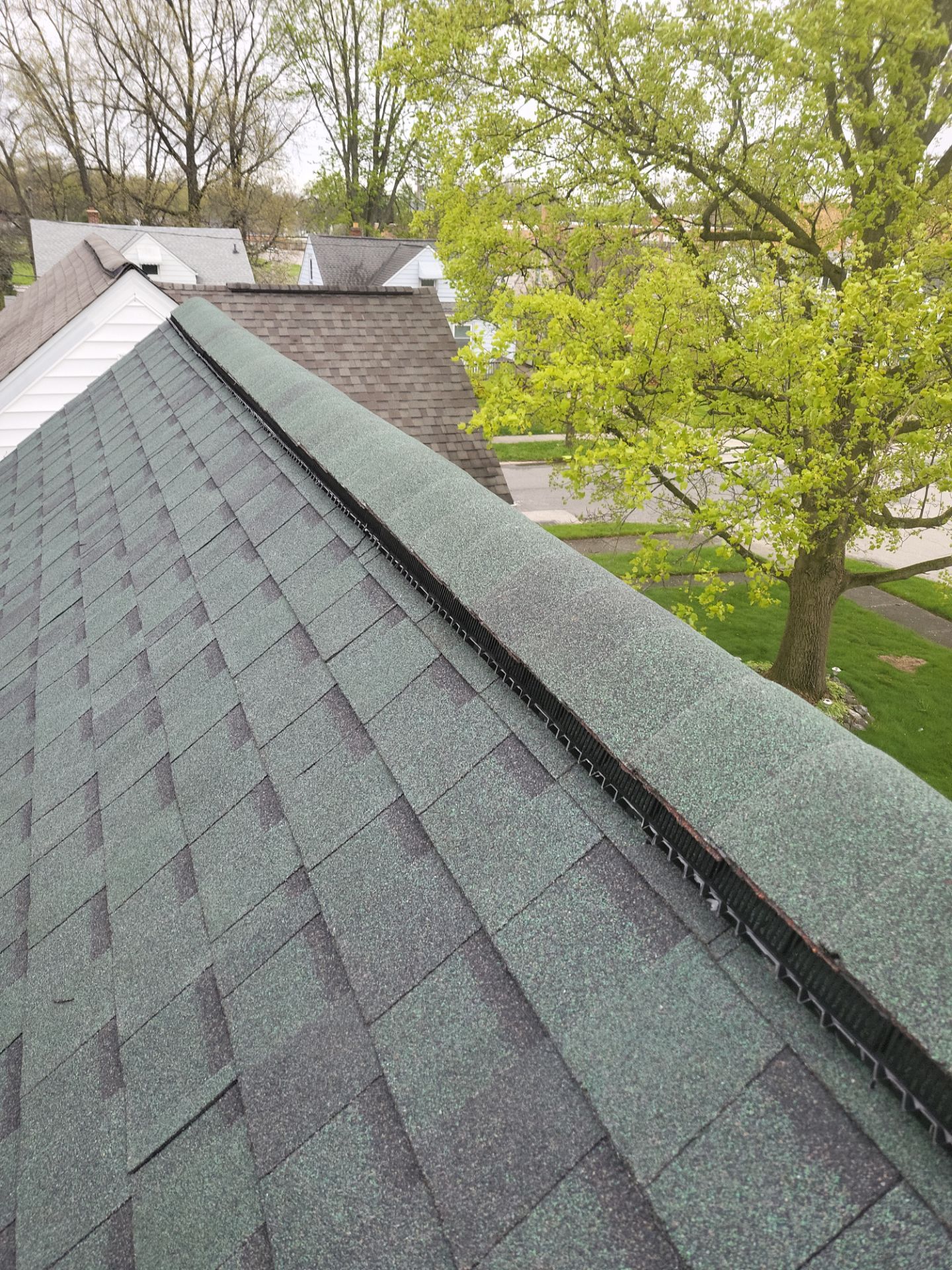 Atlas Pinnacle, Color, Woodland Green, Drip Edge, Color, White by Eagle Eye Roofing