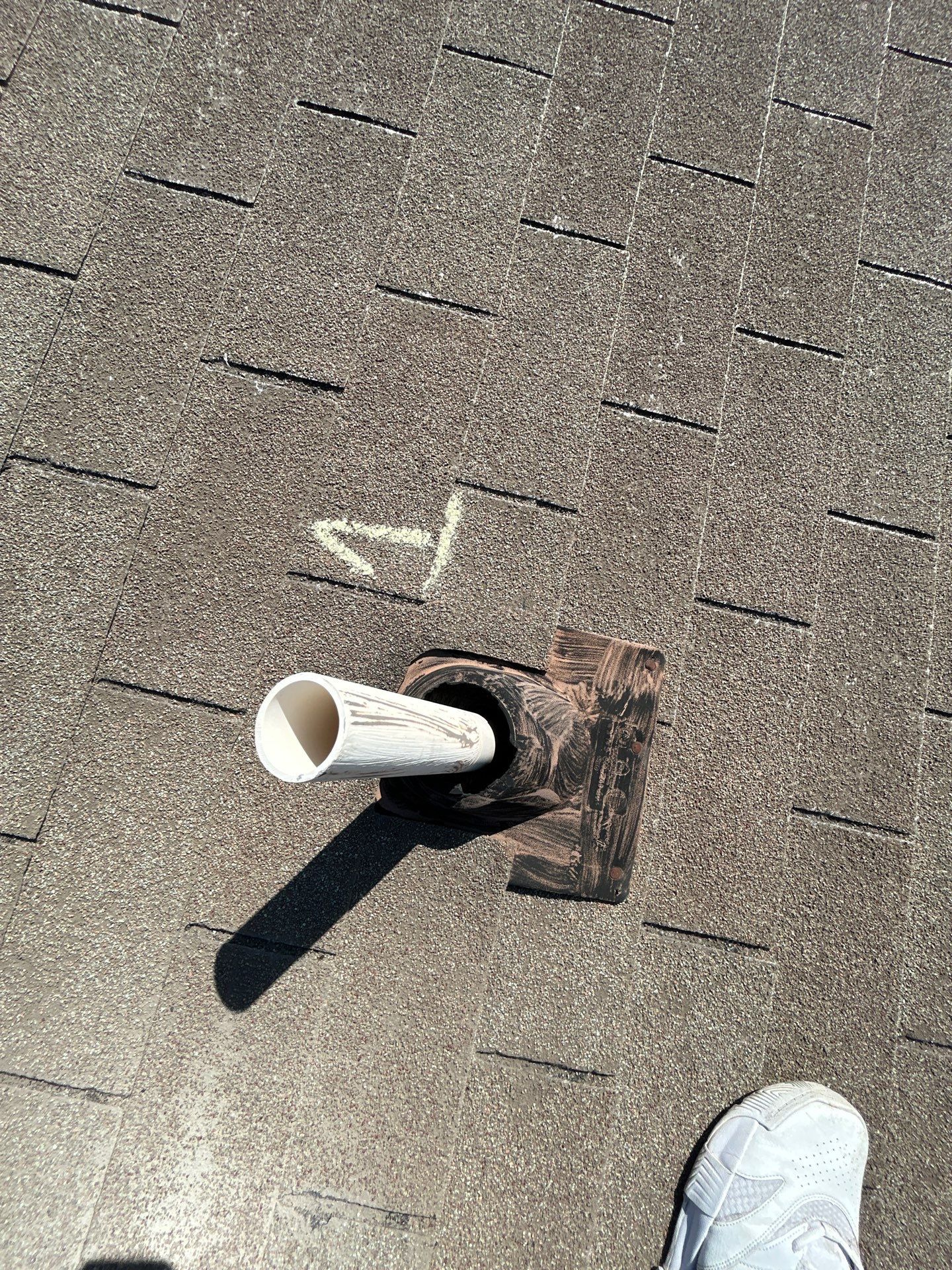 Miss Bridgette by REPS Austin Area Roofer