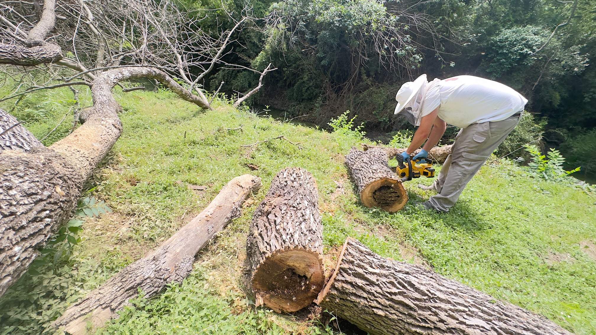 Two Trees One Yard by Rockwall Honey Bee Company