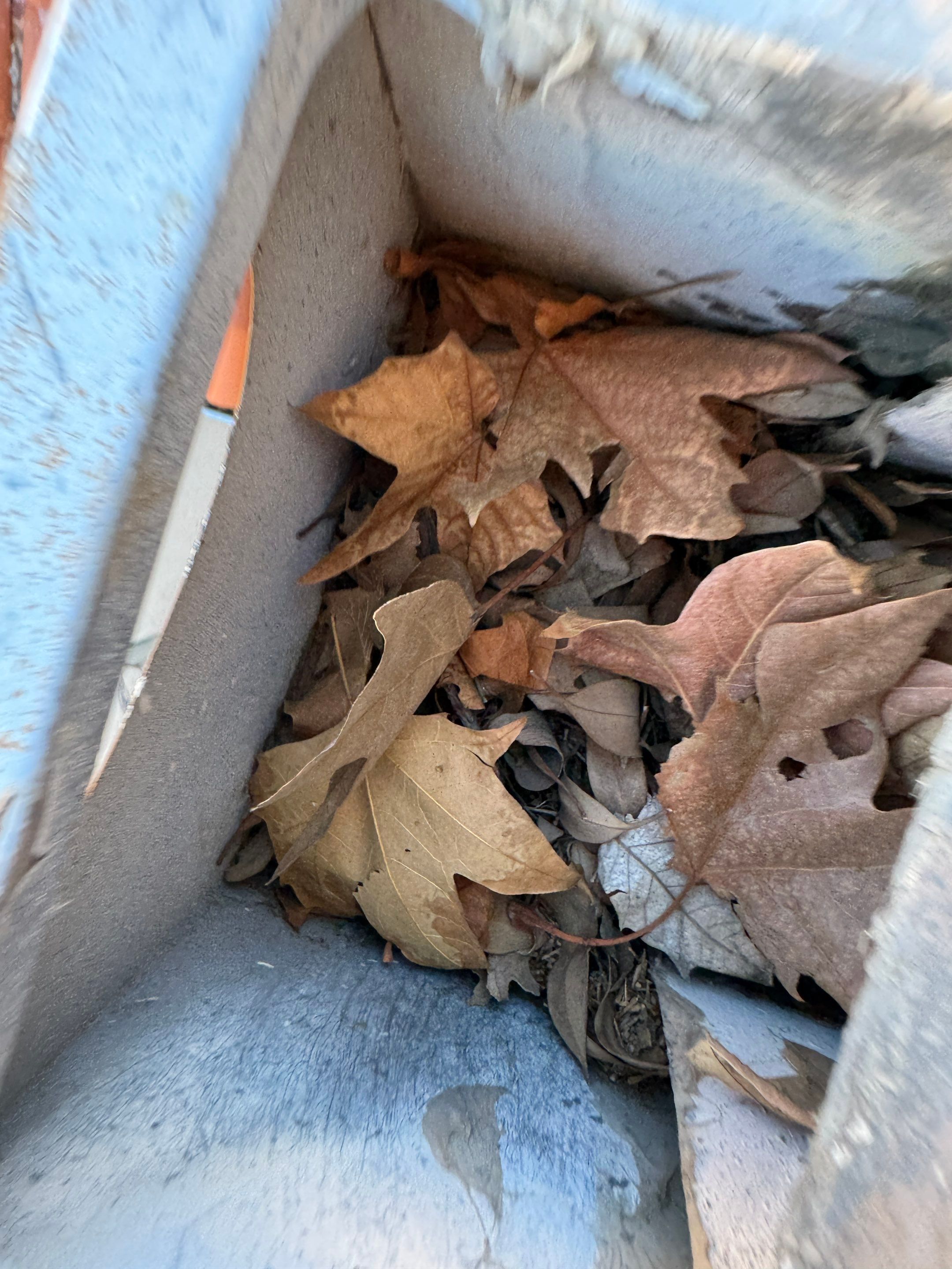 Commercial gutter cleaning Tucson, AZ before photo with filled gutters