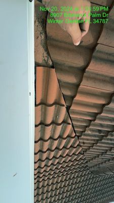 Project in Winter Garden