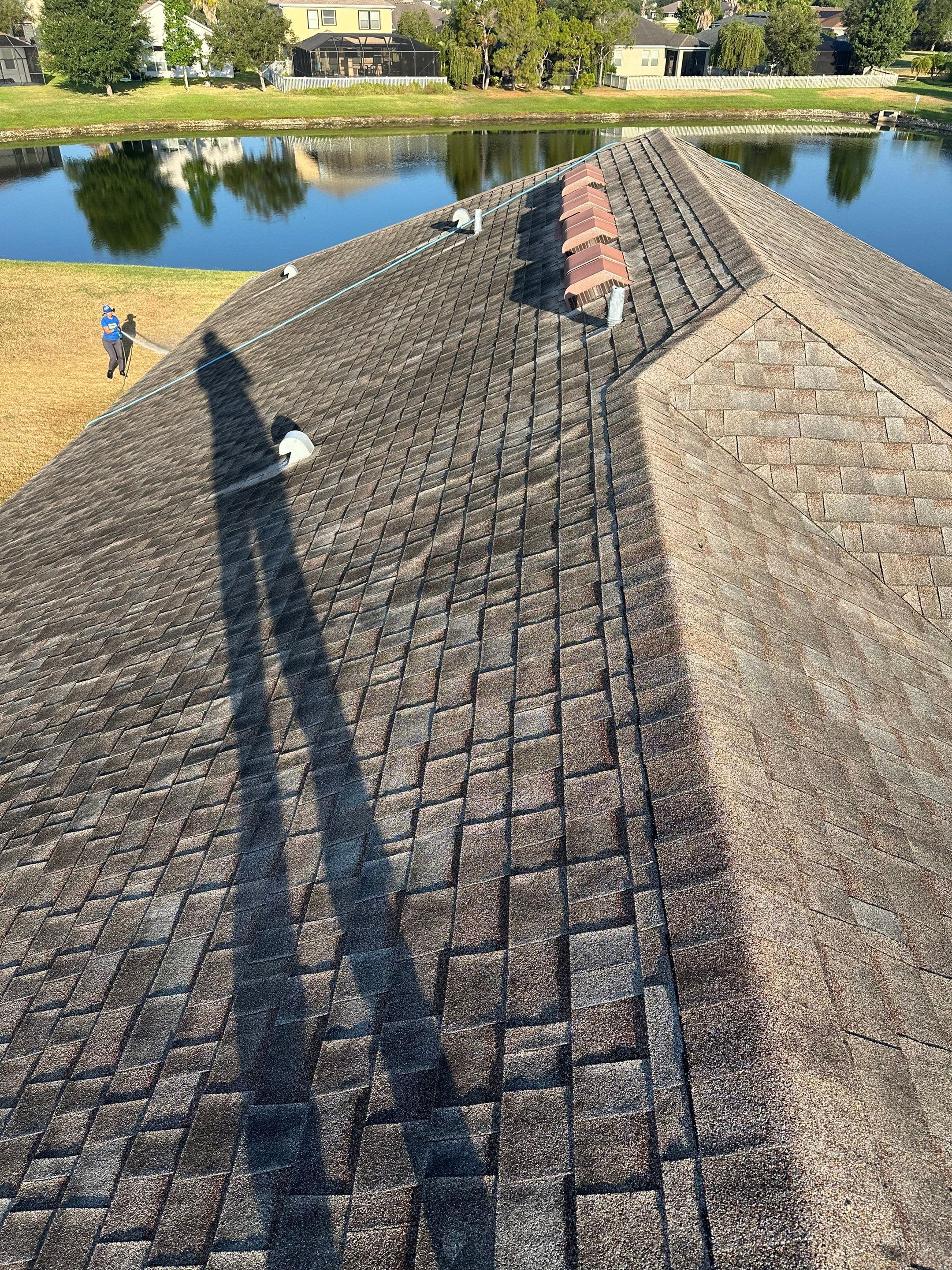 Asphalt Shingle Roof Soft Wash Cleaning & Concrete Pressure Washing in CopperStone Community, Parrish, FL by Sunshine AquaWash