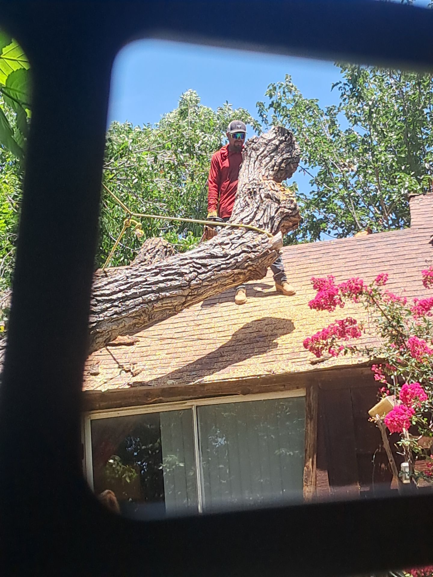 Dangerous Tree Tree Removal  by Clays Services Inc