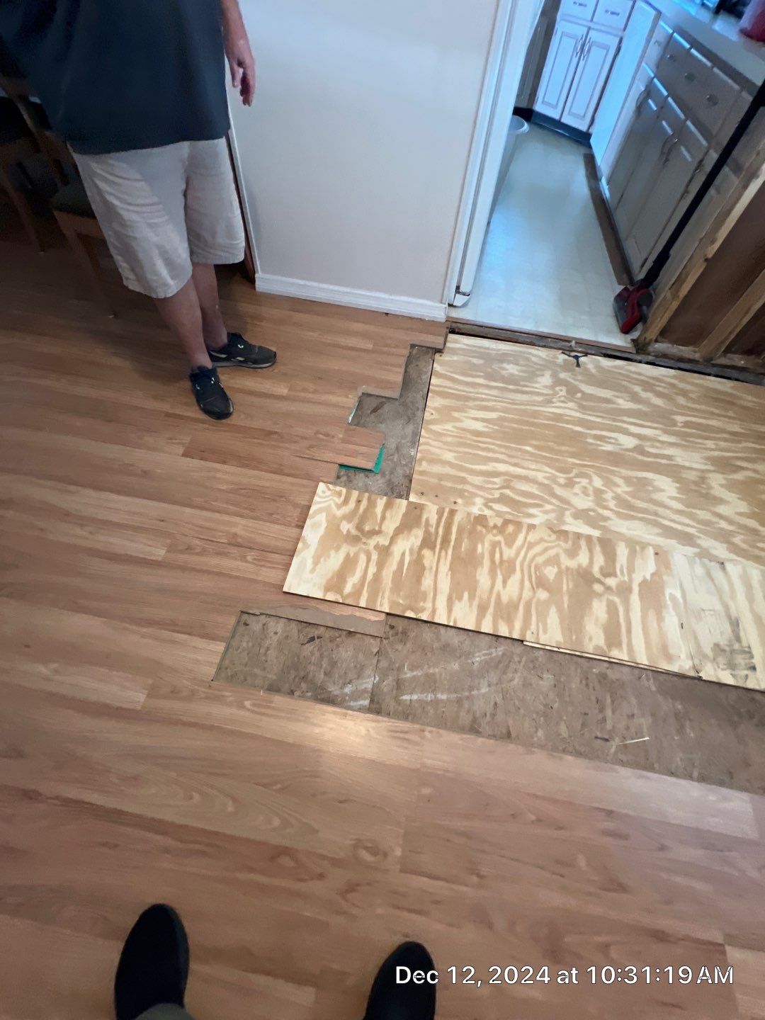 Mold Remediation Palmetto by Ampm Restoration Services 